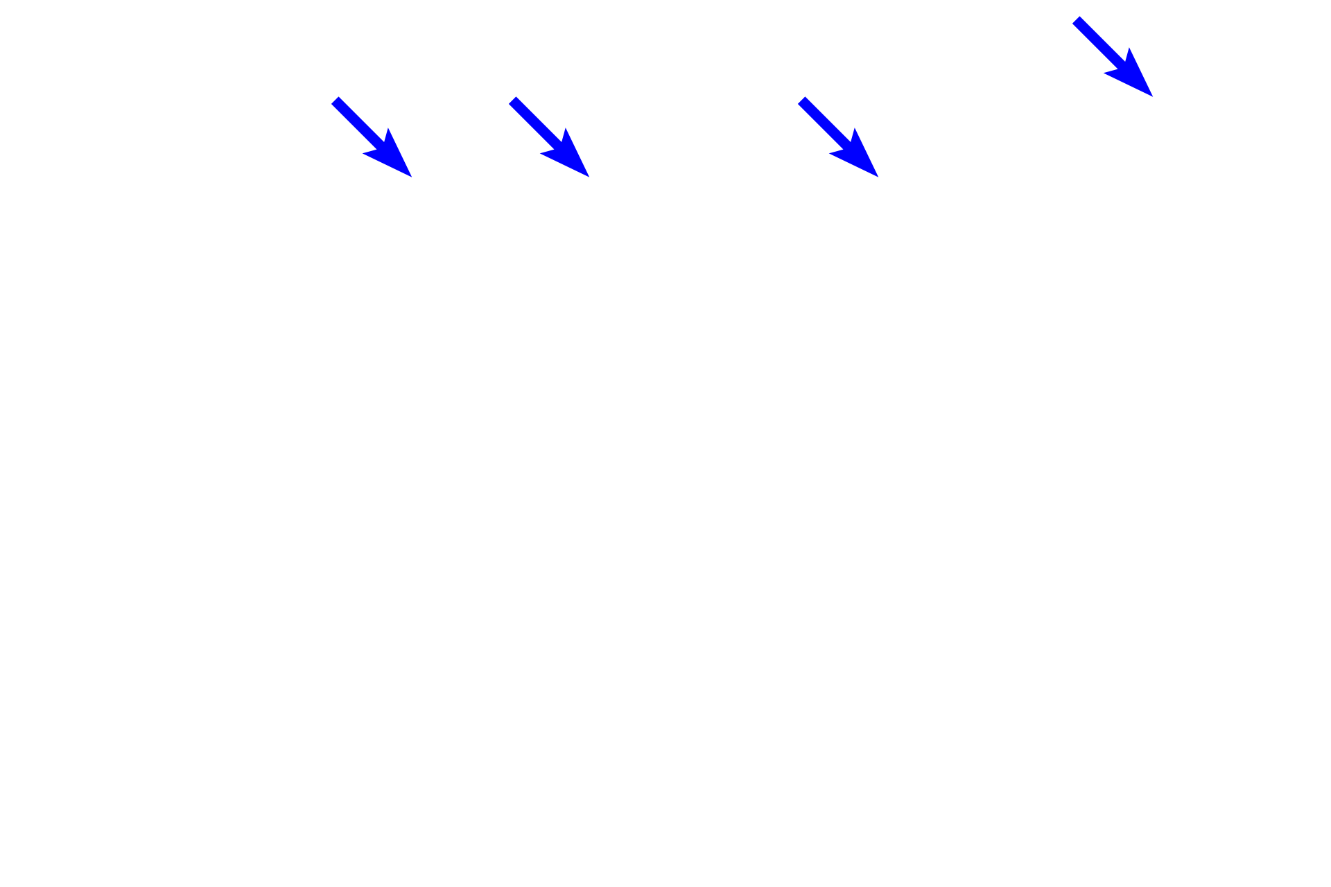  - Absorptive cells <p>This section is taken from the lower region of the colon, where more mucous lubrication is required.  Accordingly, the intestinal glands in this region consist primarily of goblet cells; absorptive cells are more restricted to the surface regions of the epithelium. Colon 200x</p>
