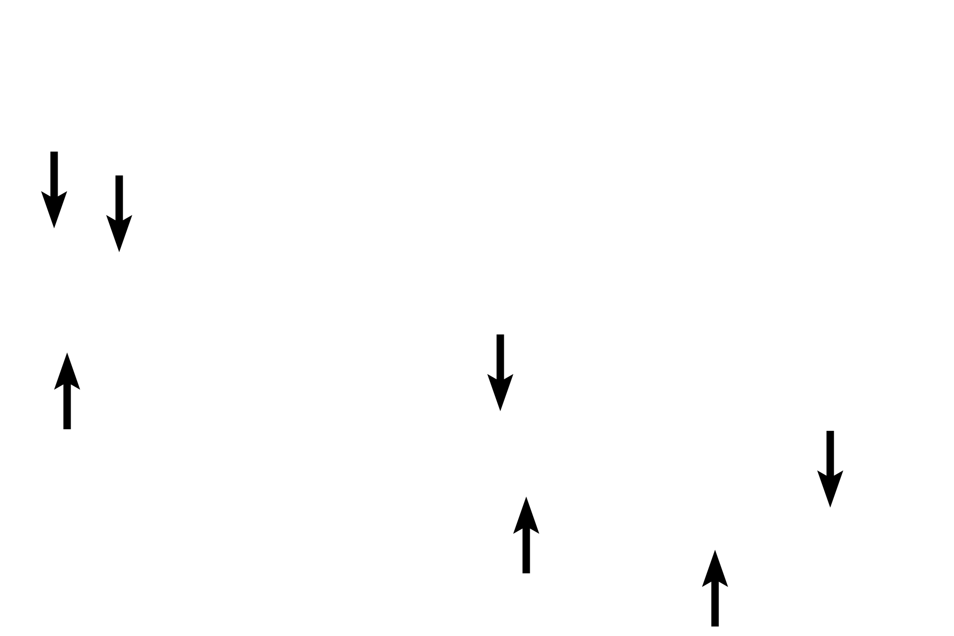 Hair follicle <p>Another example of a simple branched acinar gland is the sebaceous gland.  Multiple alveoli empty into a single, unbranched duct connected to the hair follicle.  Sebaceous glands secrete sebum onto the hair shaft as well as onto the skin surface via the hair follicle.  Sebum is an oily material that is released by the holocrine mode of secretion.  Skin  200x</p>
