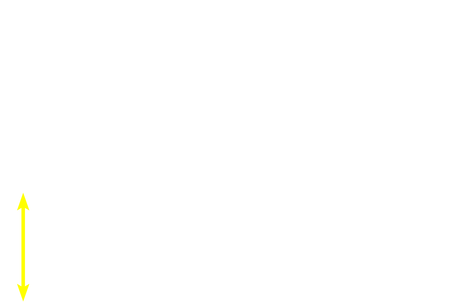 Hair follicle <p>The acinus of this sebaceous gland is associated with a hair follicle.  The gland releases its product by the holocrine mode of secretion.  Cells at the periphery proliferate and move toward the center of the acinus as they accumulate their secretory product and degenerate.  The whole cell or its entire contents are released onto the hair follicle as sebum.  Skin  400x</p>
