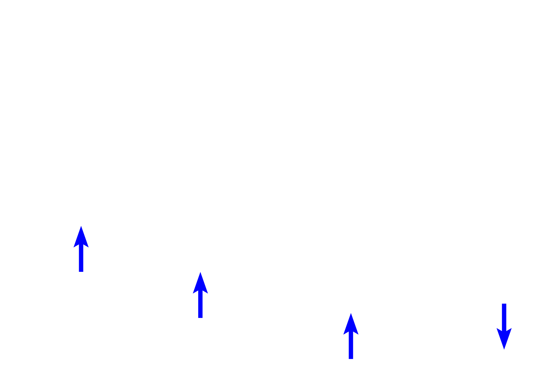 Muscularis mucosae > <p>In this section of the large intestine, the simple tubular glands are slightly longer than the mucosal layer in which they are located.  Therefore, the bases of the glands curve as they reach the muscle layer (muscularis muscosae) below them.</p>

