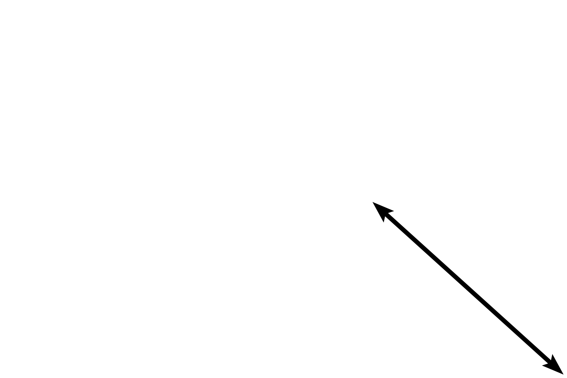 Hypodermis <p>Another simple gland is the simple, coiled tubular gland.  These glands consist of a very long, unbranched duct that is continuous with the coiled secretory portion.  An example of this gland is this eccrine sweat gland in skin.  The connection between these ducts and their glandular portions is out of the plane of section.  Skin 100x</p>
