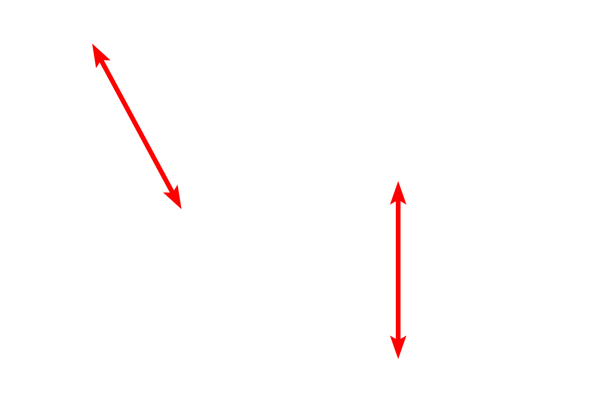 Simple columnar epithelium <p>Not all unicellular glands are goblet cells.  This simple columnar epithelium lining the oviduct demonstrates unicellular glands among the ciliated cells. These unicellular glands, called peg cells in the oviduct, provide nutrition for the oocyte and sperm.  The oviduct is the site of fertilization.  Oviduct 1000x</p>
