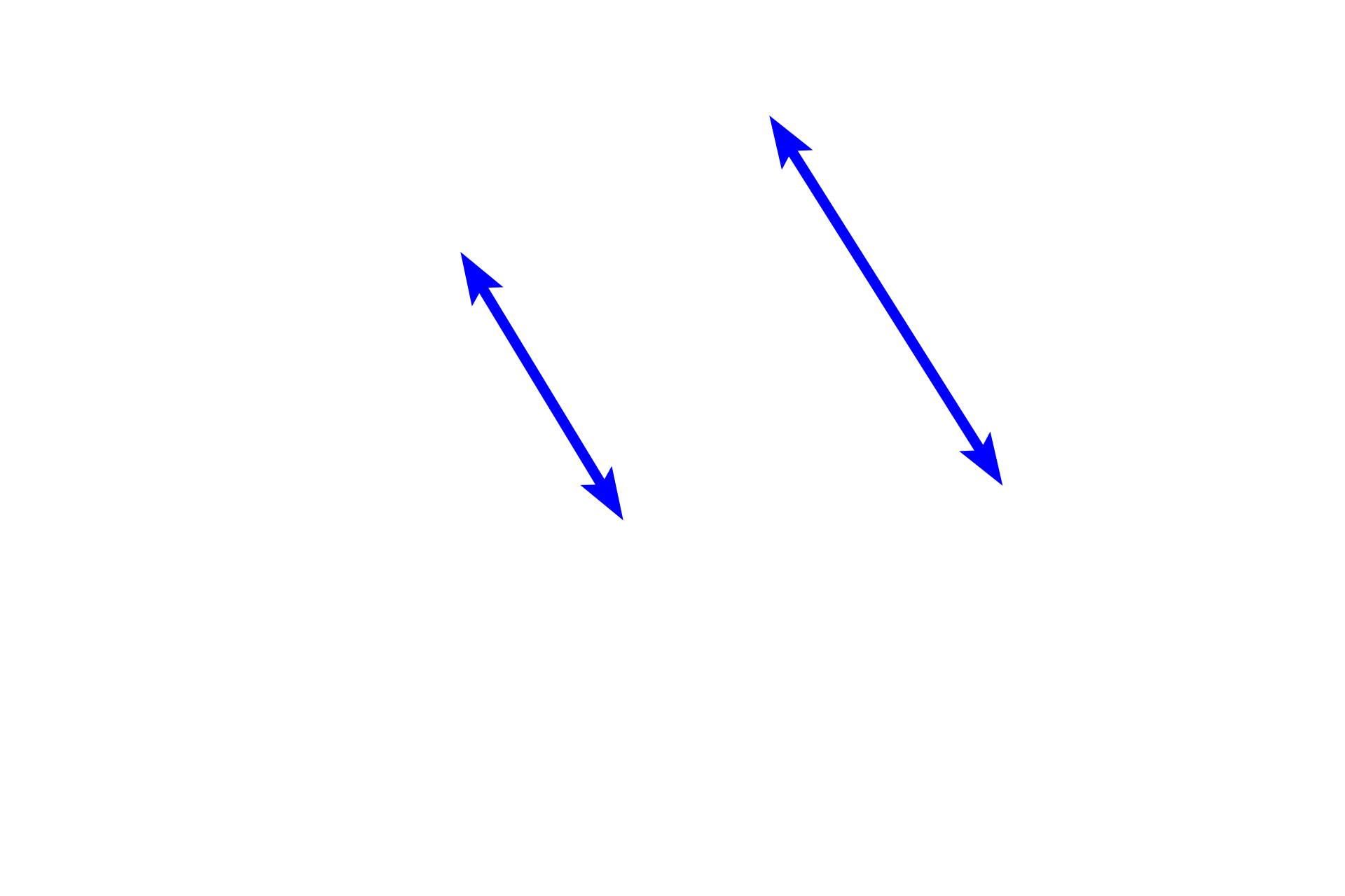 Acini <p>Holocrine secretion involves the release of entire cells or their fragments from the secretory unit, as shown in this image of a sebaceous gland and a hair follicle.  At the periphery of the acinus, cells proliferate and move toward the center, accumulating lipid as they mature, enlarge and degenerate.  In this example of a sebaceous gland, lipid-filled cells either rupture their contents, sebum, or are shed as whole cells onto the hair shaft in a hair follicle.  400x</p>
