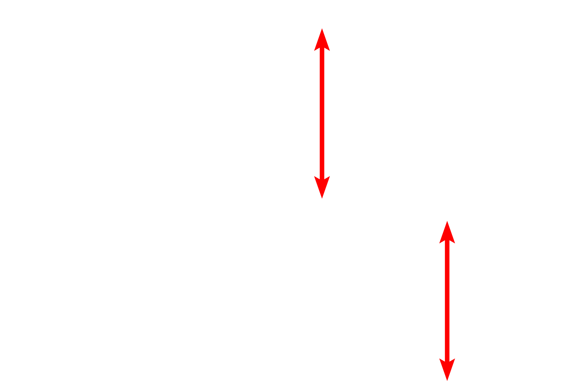 Simple columnar epithelium <p>The simple columnar epithelium from a monkey oviduct possesses cilia, motile structures that are greater than one micron in height.  The core of a cilium contains microtubules which emanate from the basal body present at the base of each cilium.  Non-ciliated, secretory cells are also present in this epithelium.  1000x</p>
