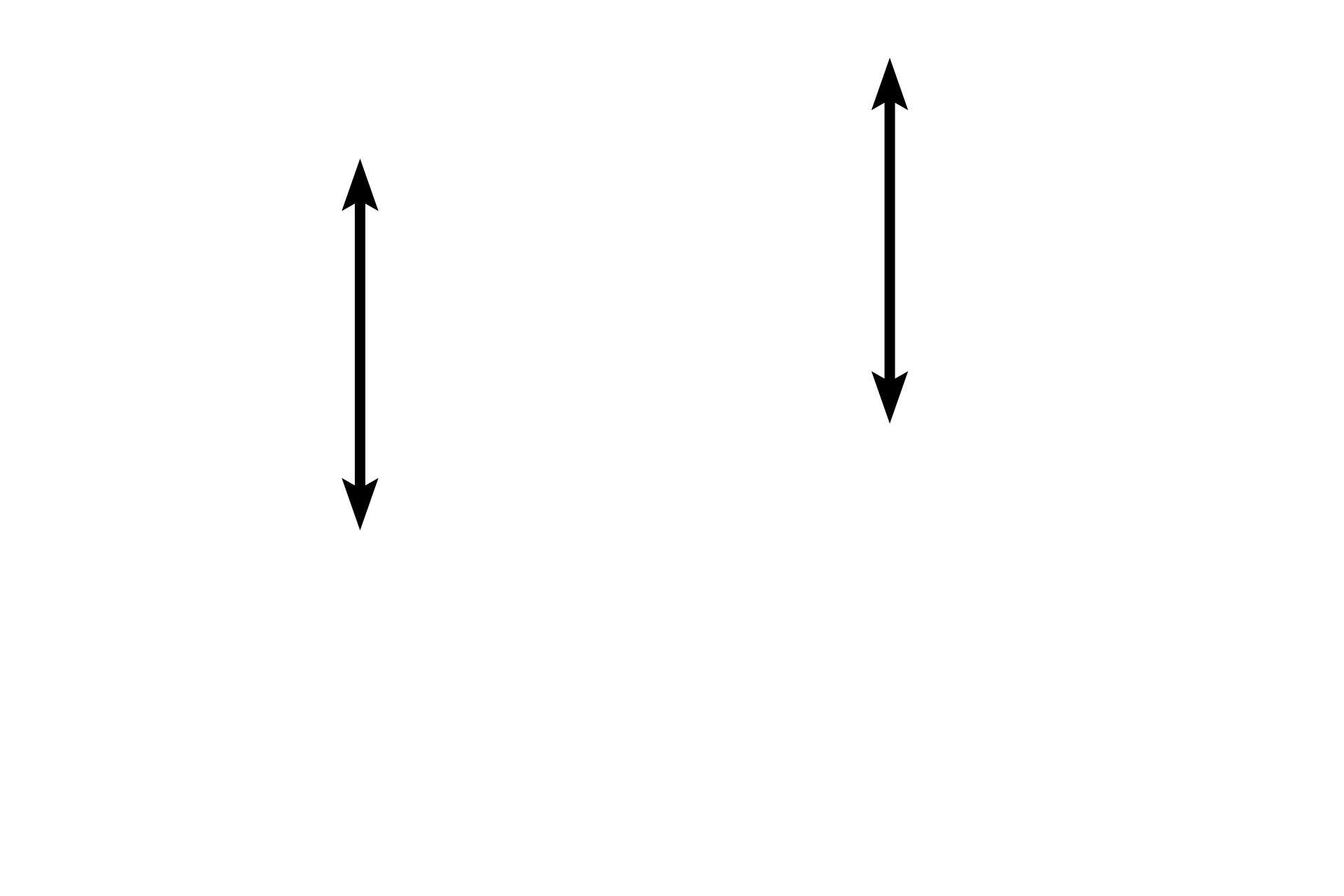Pseudostratified epithelium <p>Much of the epithelium of the respiratory tract possesses cilia.  Inhaled particulate material is captured in a sheet of mucus produced by goblet cells. This mucous sheet is swept upward in the respiratory tract by the action of the cilia.  Each cilium contains a microtubule complex called the axoneme, which emanates from the basal body.  Note the uniquely thick basal lamina of this epithelium.  1000x</p>
