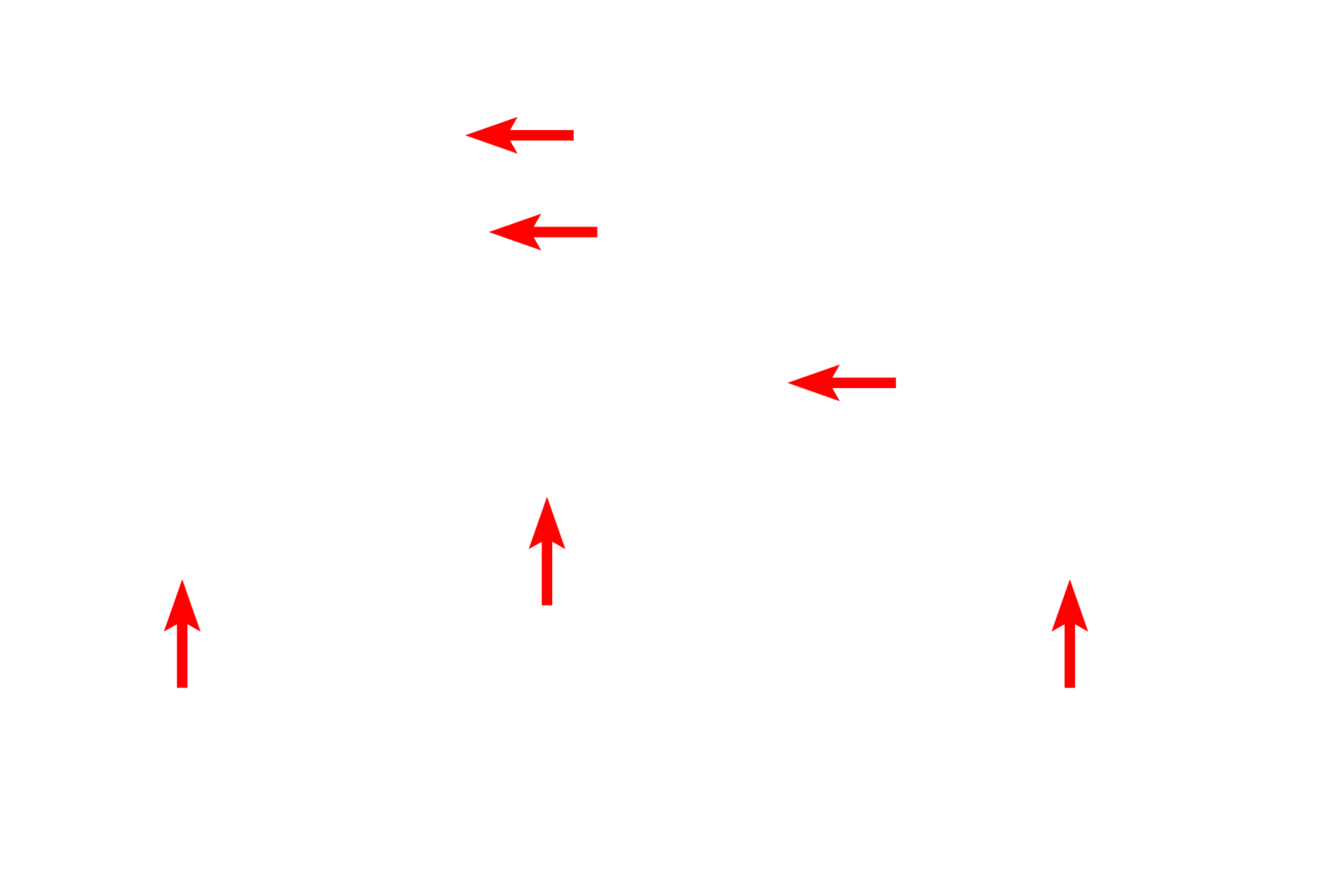 Plasma membrane <p>Also visible are shorter microvilli, which contain a core of microfilaments and are non-motile.  The microfilaments are not resolved at this magnification.</p>

