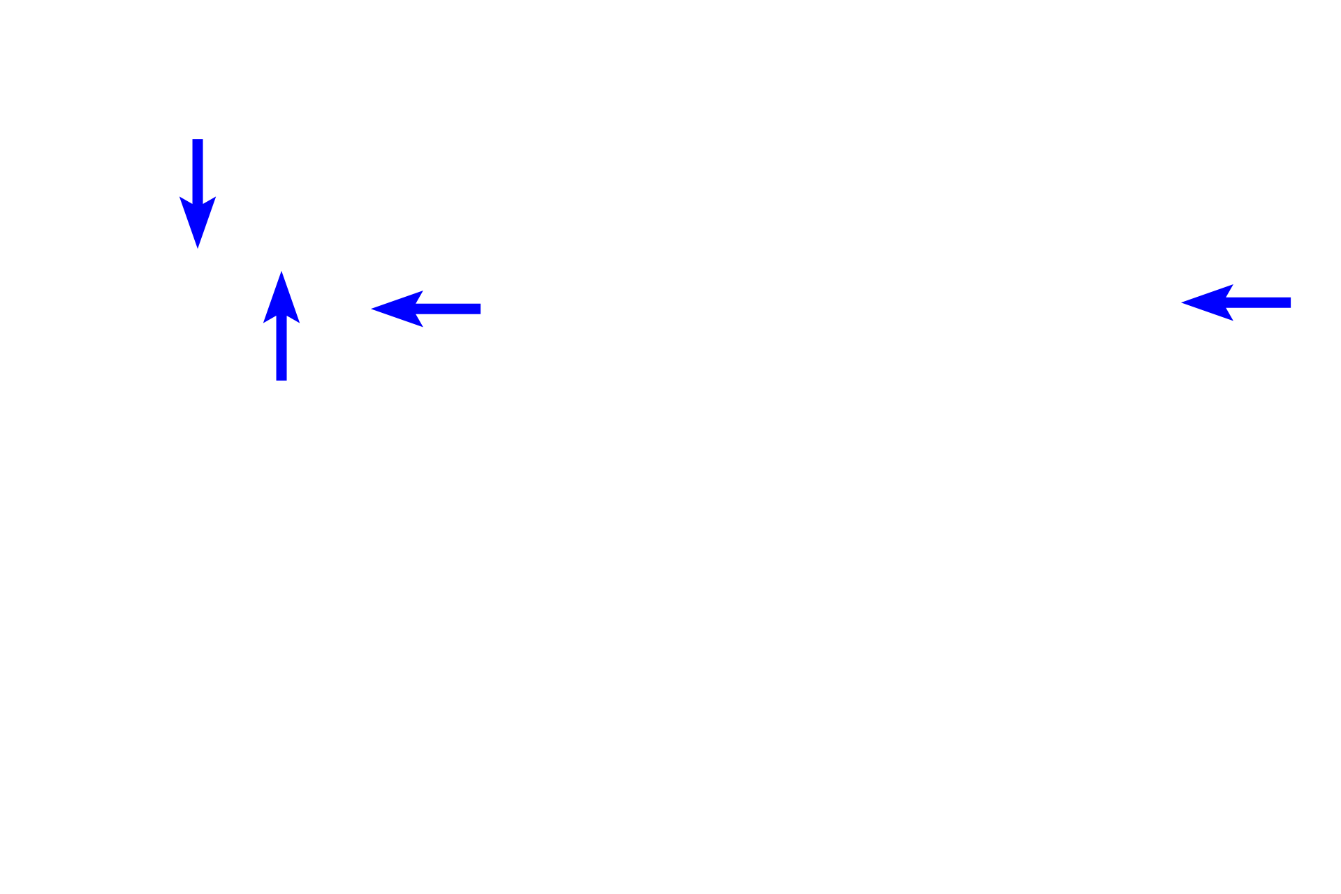  - Zonula adherens <p>Junctional complexes are found at the apex of epithelial cells and have three components:  Zonula occludens, a band or belt encircling each cell that seals the lumen from the intercellular space; Zonula adherens, also a band that attaches adjacent cells to each other; and Desmosomes (maculae adherentes), which also provide cell attachment but consists of disk-like structures rather than encircling belts.  Desmosomes are also distributed in other regions of the cell.</p>
