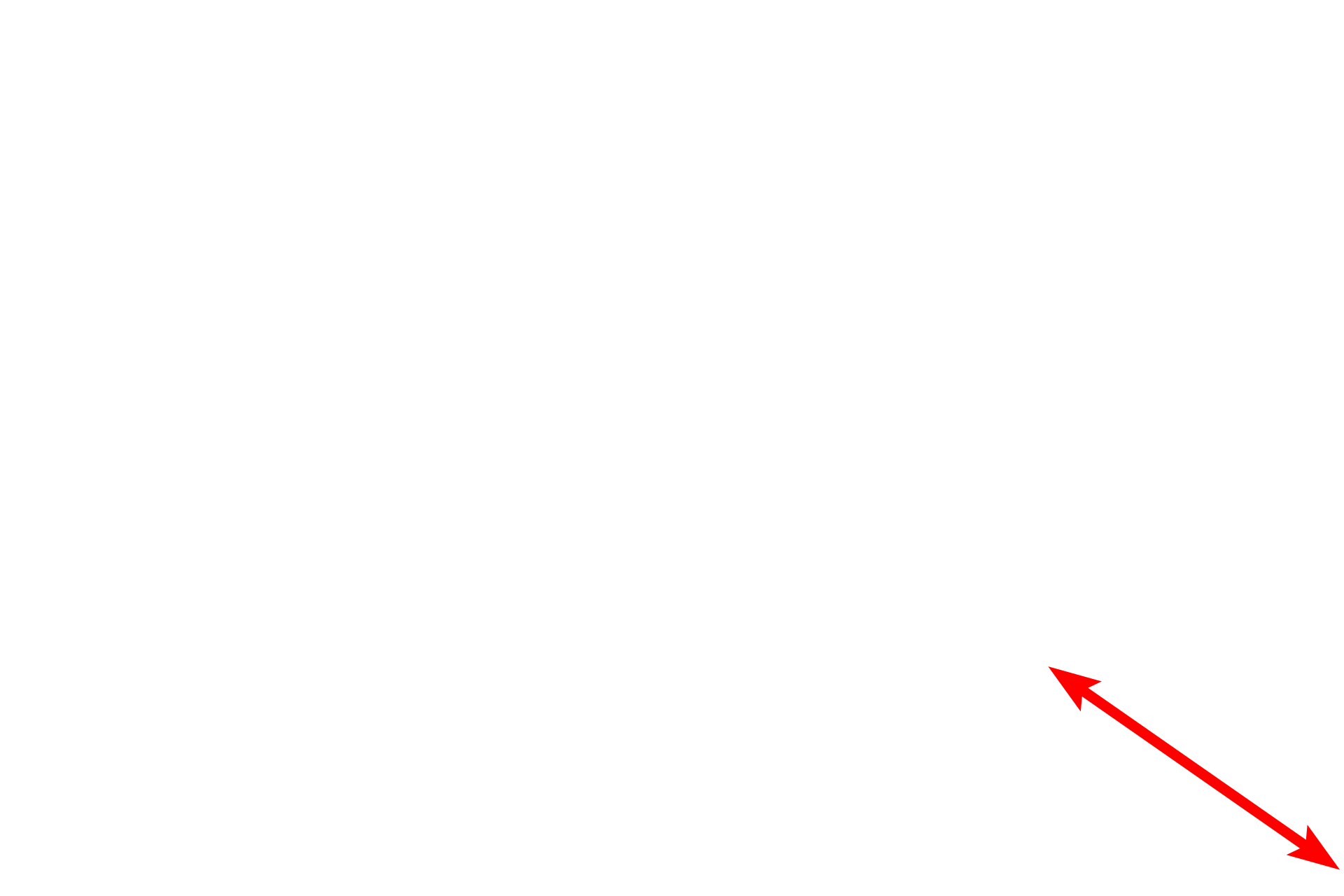 Connective tissue <p>Hemidesmosomes are prominent in the basal layer of the epidermis.  Structurally, they consist of one-half of a desmosome and serve to anchor an epithelium to its underlying basal lamina.  The associated keratin intermediate filaments insert into the attachment plaques.  Transmembrane proteins extend from the plaque into the basal lamina to provide attachment.  30,000x</p>
