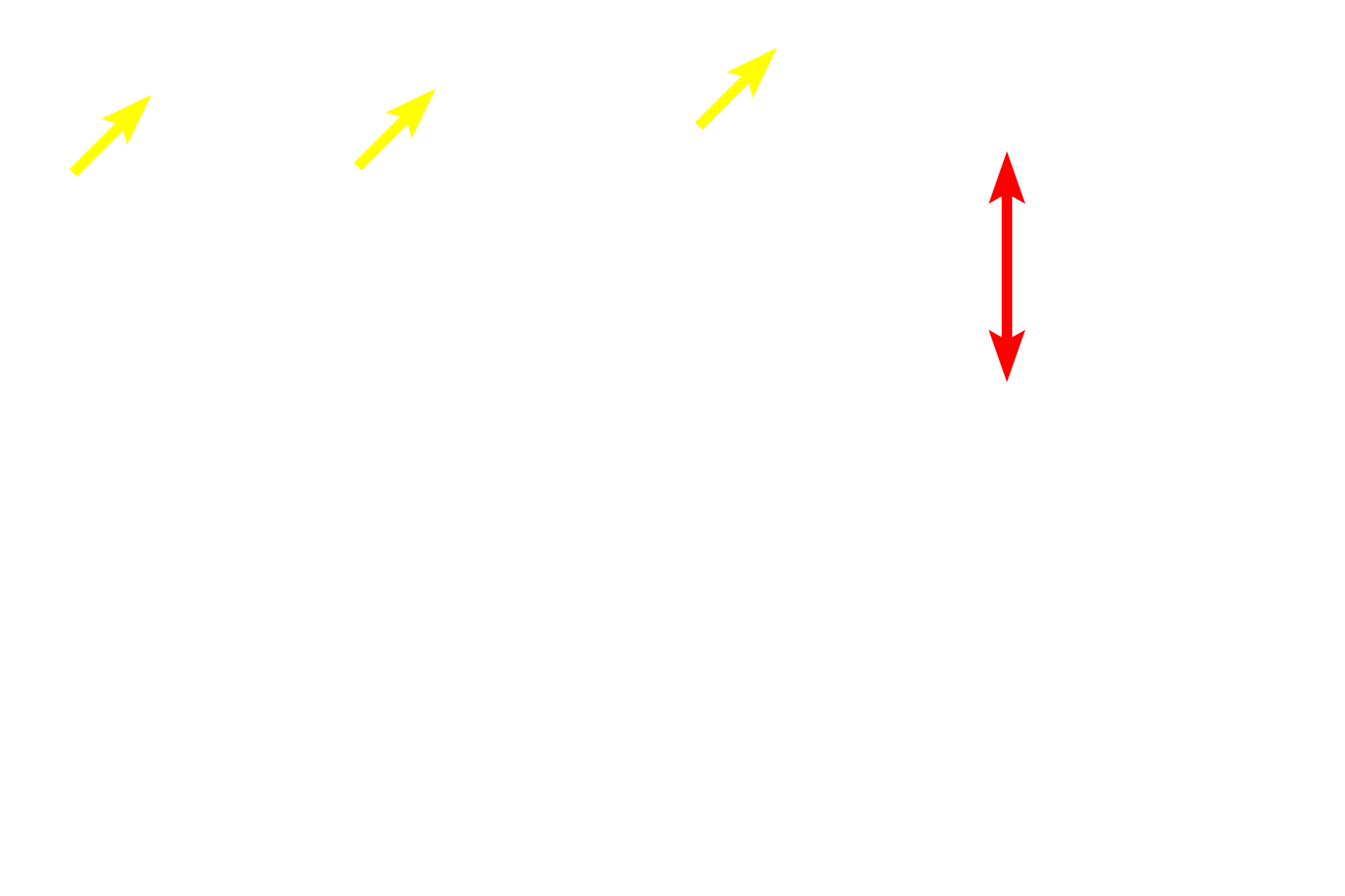 Brush border > <p>The collection of microvilli comprise the brush border, also called a striated border, because the individual microvilli give it a striated or striped appearance. Each microvillus is supported by a core of microfilaments.</p>
