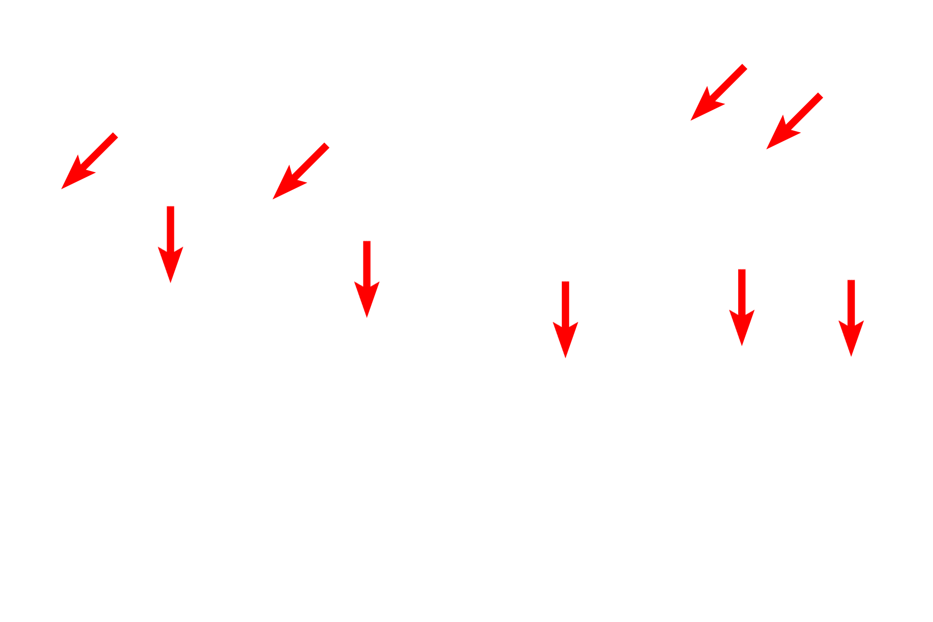 Plasma membrane <p>The glycocalyx consists of the carbohydrate groups of membrane glycoproteins and glycolipids that extend into the lumen.  In the small intestine the glycocalyx serves to retain digestive enzymes and intestinal bacteria.</p>
