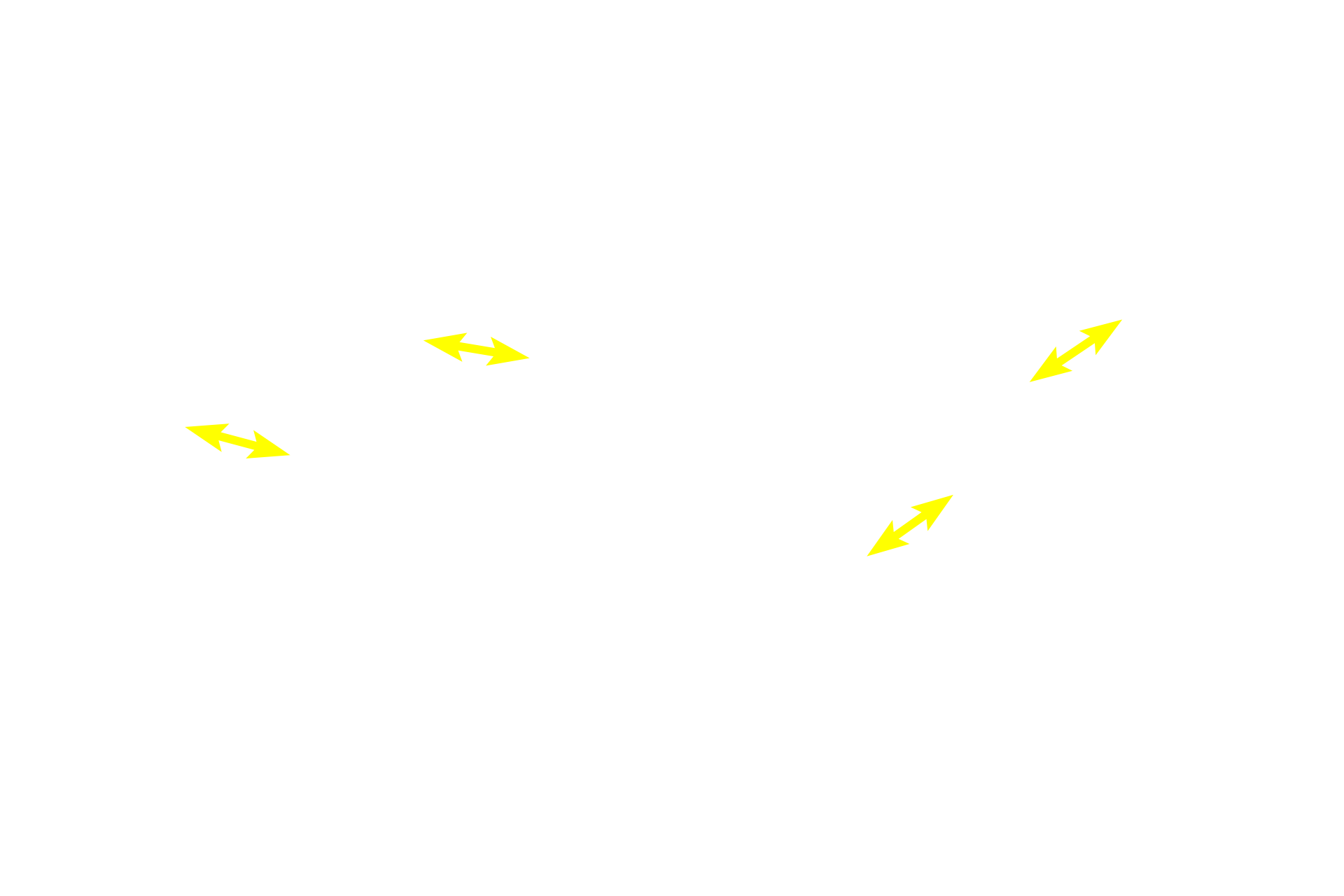 Simple columnar epithelium <p>Simple columnar epithelium can line ducts as they become larger, as seen in these images of a kidney tubule (left) and a salivary gland duct (right).  In the case of the salivary duct, the nuclei are displaced upwards to the center of the cell due to cytoplasmic structures in the basal regions of the cell.  Kidney, Submandibular gland  400x.</p>
