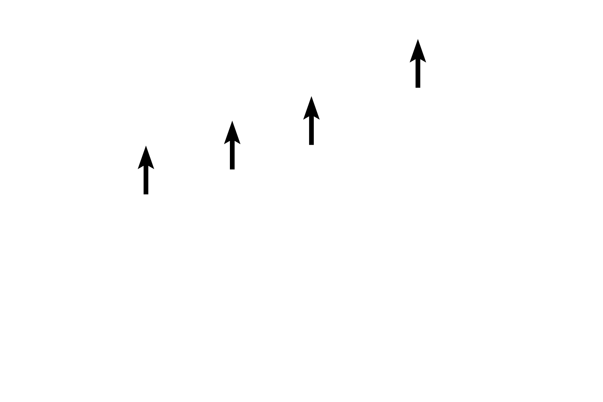Terminal bars > <p>The terminal bar represents a complex of cell junctions located at the apex of the cell.  These junctions provide for cell-to-cell attachment as well as preventing intercellular leakage of luminal contents.  The individual components of the complex cannot be resolved with the light microscopic and thus they appear as a small, red dot or bar at the luminal surface of adjacent epithelial cells.</p>
