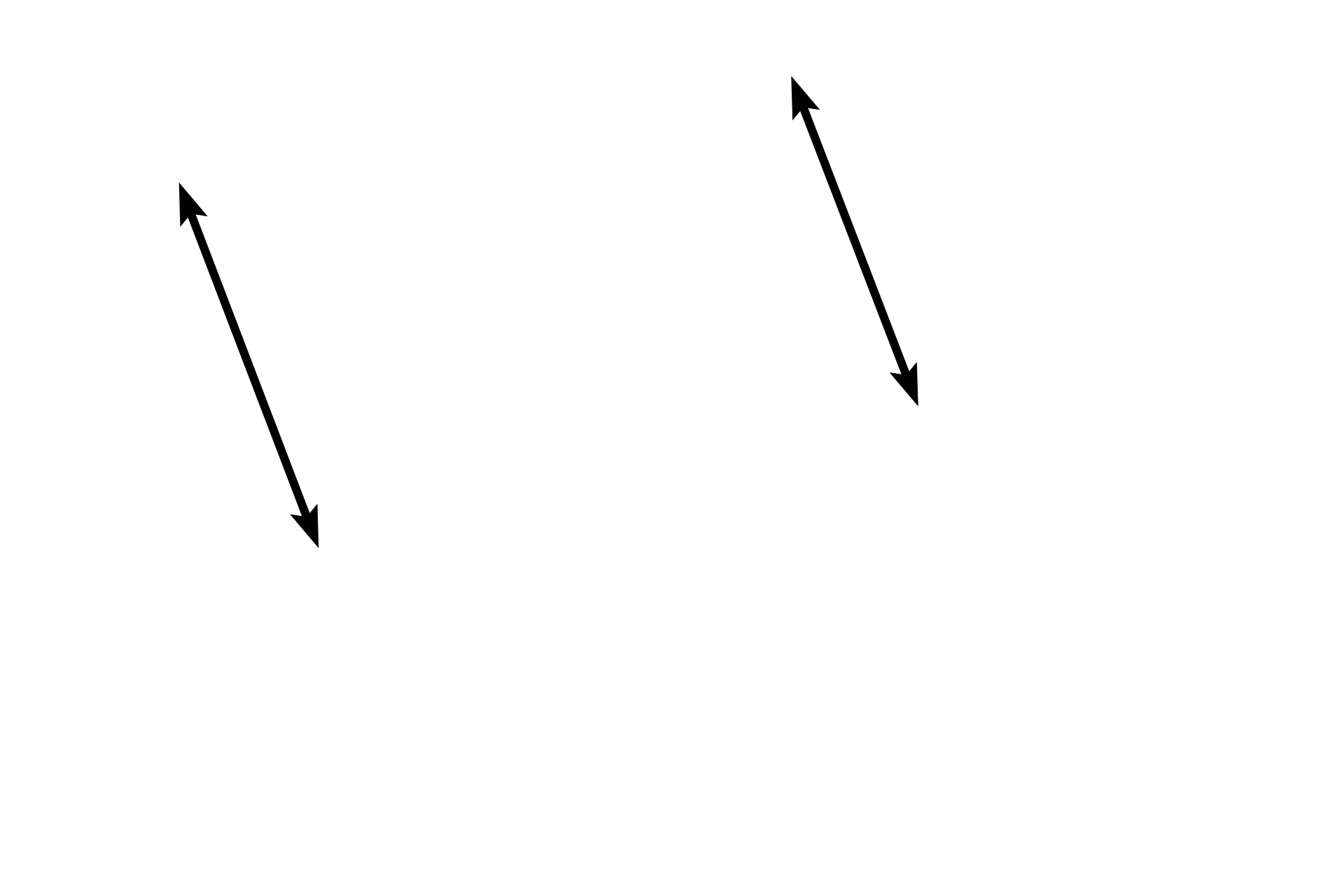 Pseudostratified columnar epithelium <p>Although pseudostratified epithelium appears stratified, all of its cells rest on the basement membrane.  The epithelium pictured here is ciliated and possesses unicellular glands that secrete mucus, called goblet cells. Both the cilia and unicellular glands indicate that this is a simple epithelium.  Trachea  1000x</p>

