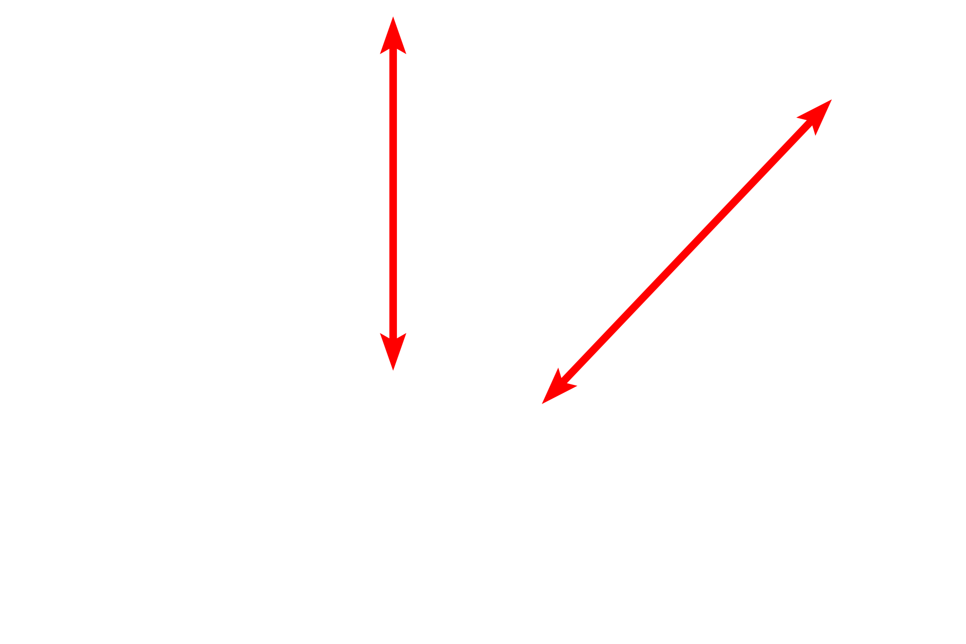 Pseudostratified columnar epithelium <p>The lining epithelium of the monkey trachea demonstrates a pseudostratified epithelium with cilia and gland cells (goblet cells).  In a pseudostratified epithelium, all cells rest on the basement membrane, though not all reach the free surface.  This variation in height, and thus position of the nuclei, gives the impression of a stratified epithelium.  1000x</p>
