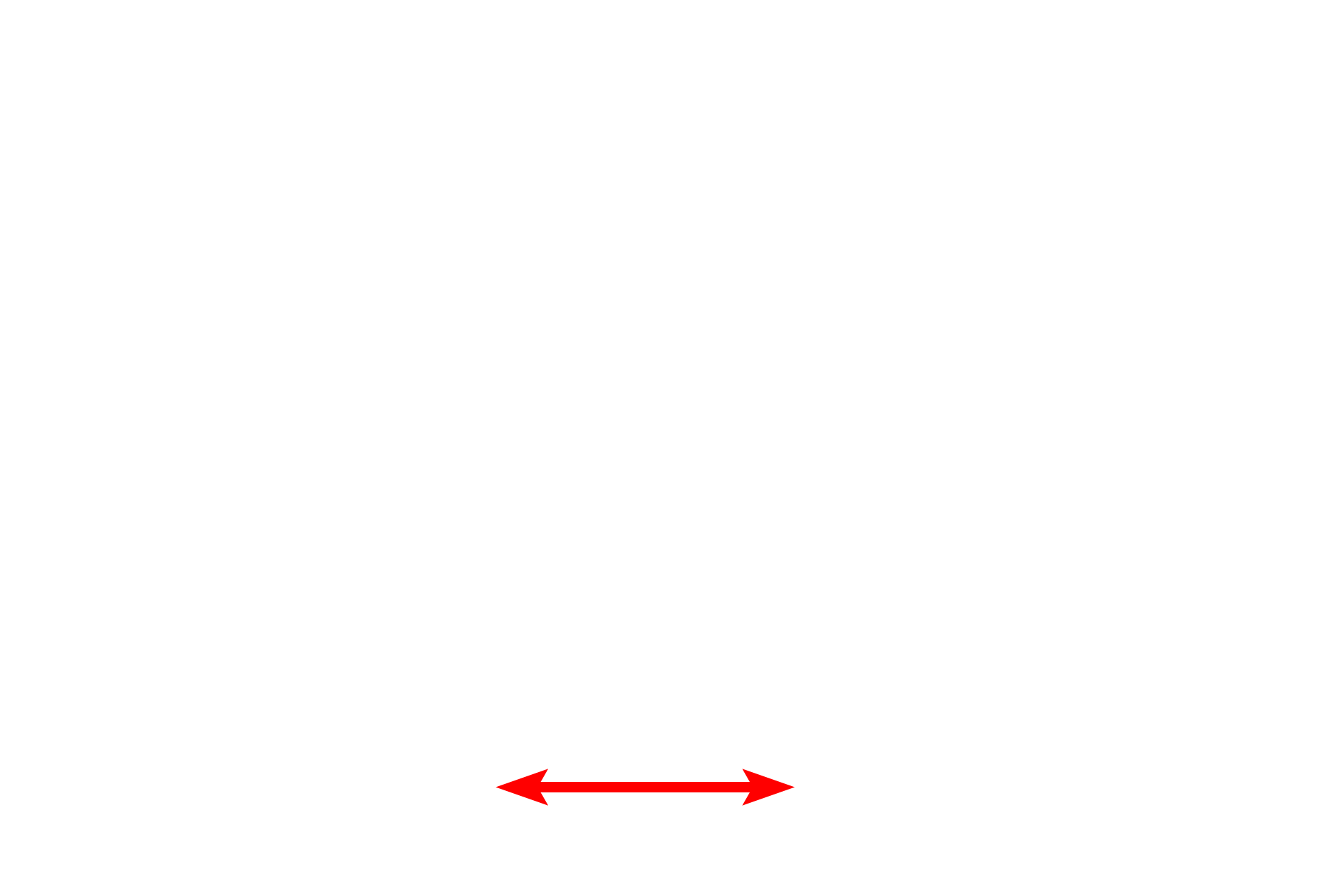 Loose connective tissue <p>The lining epithelium of the monkey trachea demonstrates a pseudostratified epithelium with cilia and gland cells (goblet cells).  In a pseudostratified epithelium, all cells rest on the basement membrane, though not all reach the free surface.  This variation in height, and thus position of the nuclei, gives the impression of a stratified epithelium.  1000x</p>

