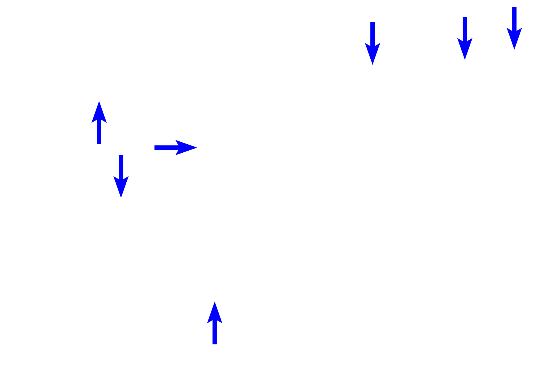  - Nuclei <p>Simple squamous epithelium forms the inner lining of blood vessels (seen here), lymphatics, and the heart.  In these locations, this epithelium is given the proper name of endothelium.  Blood vessels  500x, 1000x</p>
