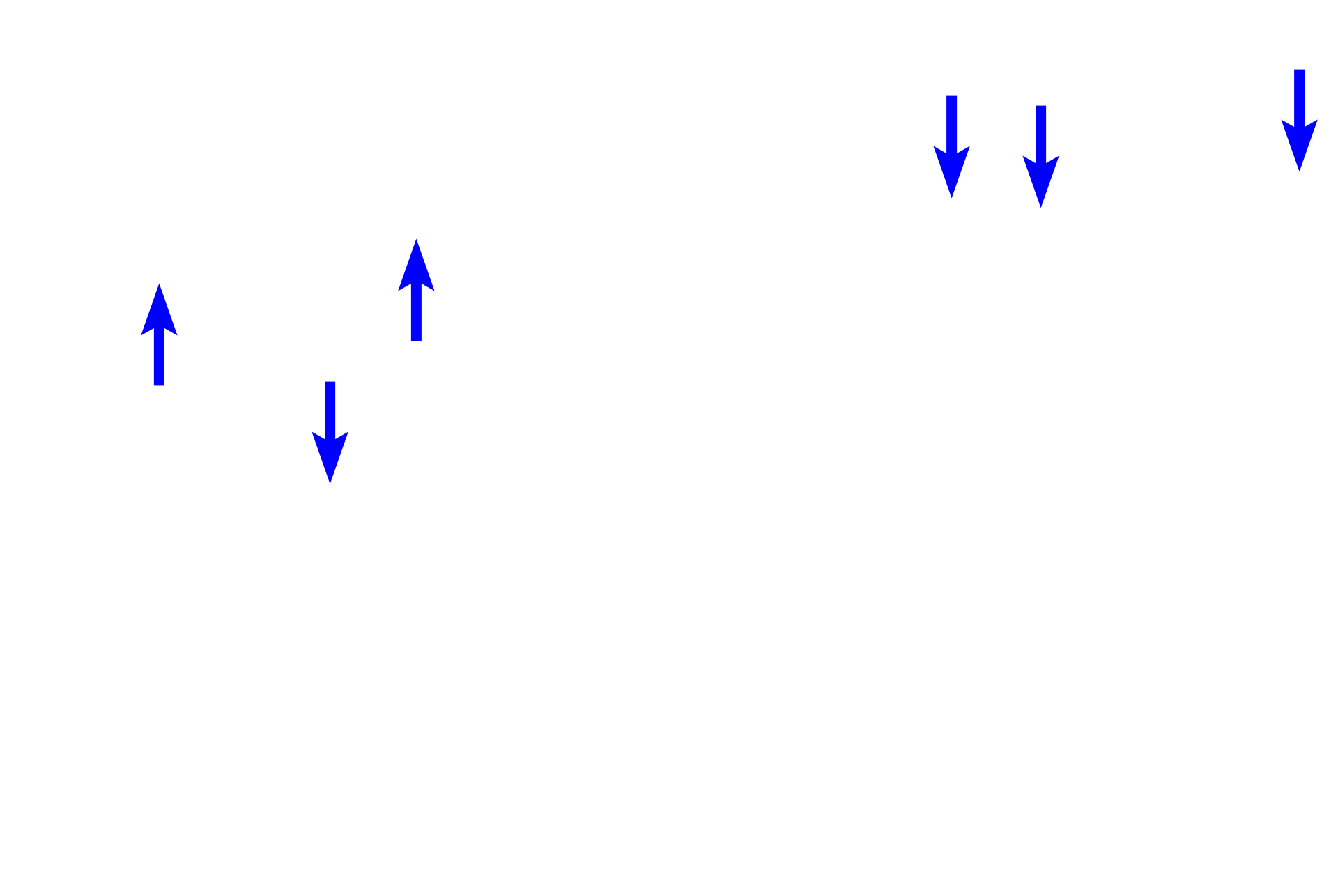  - Cytoplasm <p>Simple squamous epithelium forms the inner lining of blood vessels (seen here), lymphatics, and the heart.  In these locations, this epithelium is given the proper name of endothelium.  Blood vessels  500x, 1000x</p>
