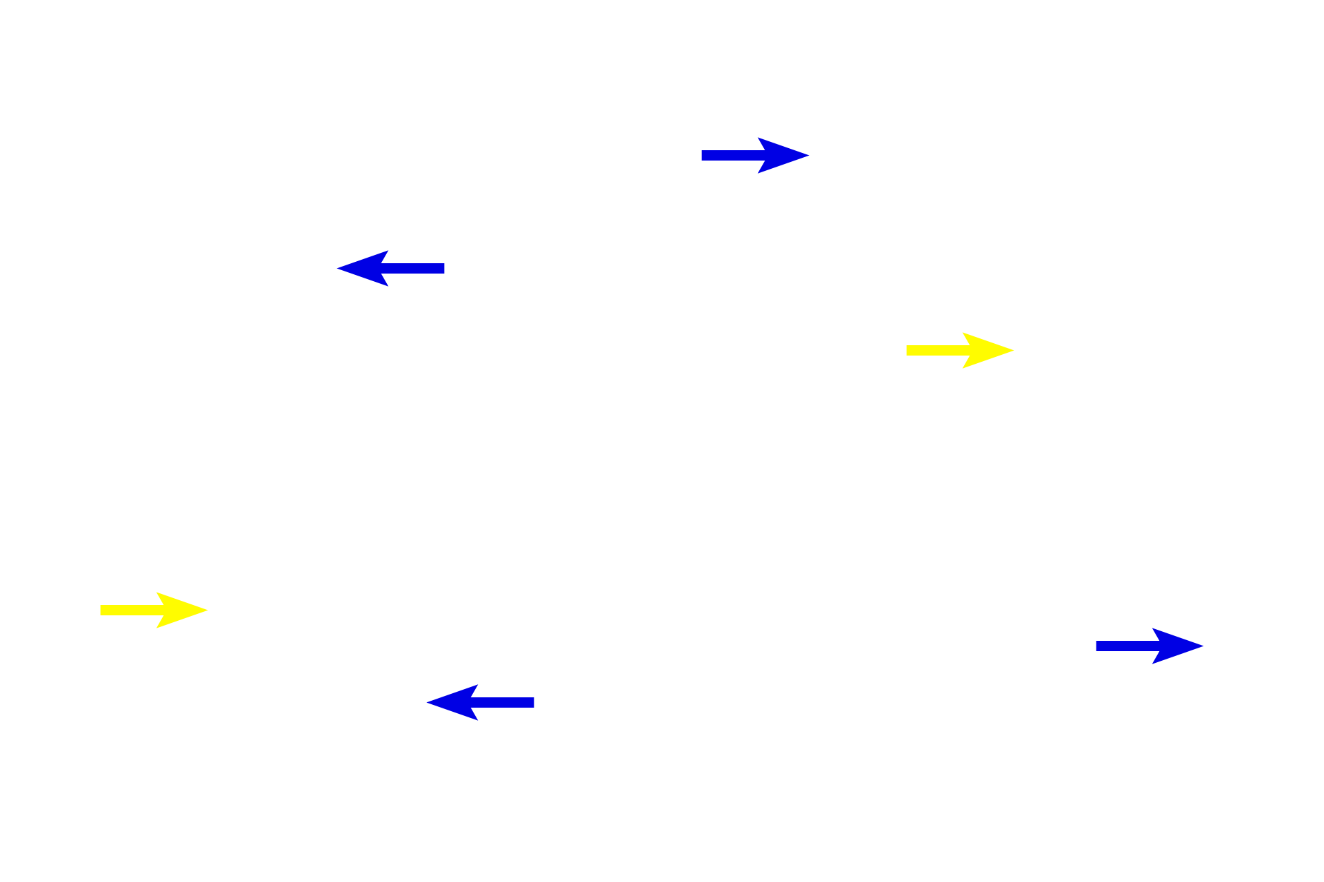 Simple squamous <br>epithelium > <p>Simple squamous epithelium is seen lining tubules in the kidney (blue arrows) as well as blood vessels (yellow arrows).  In both structures, the nuclei of the epithelium can be seen bulging slightly into the lumen with thins band of cytoplasm extending away from them.</p>
