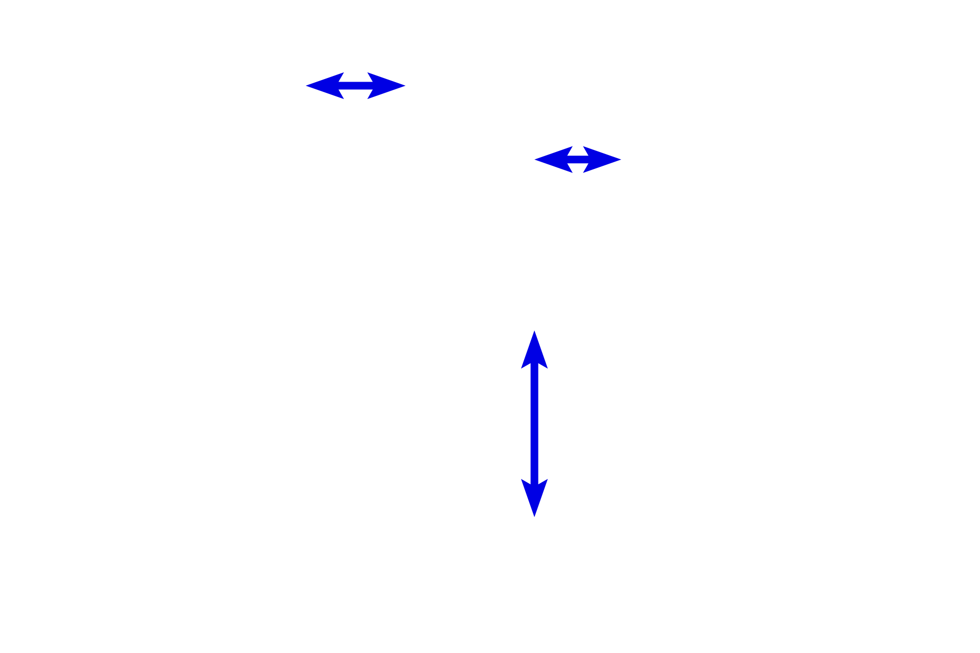 Tubules <p>Simple squamous epithelium is seen lining tubules in the kidney (blue arrows) as well as blood vessels (yellow arrows).  In both structures, the nuclei of the epithelium can be seen bulging slightly into the lumen with thins band of cytoplasm extending away from them.</p>
