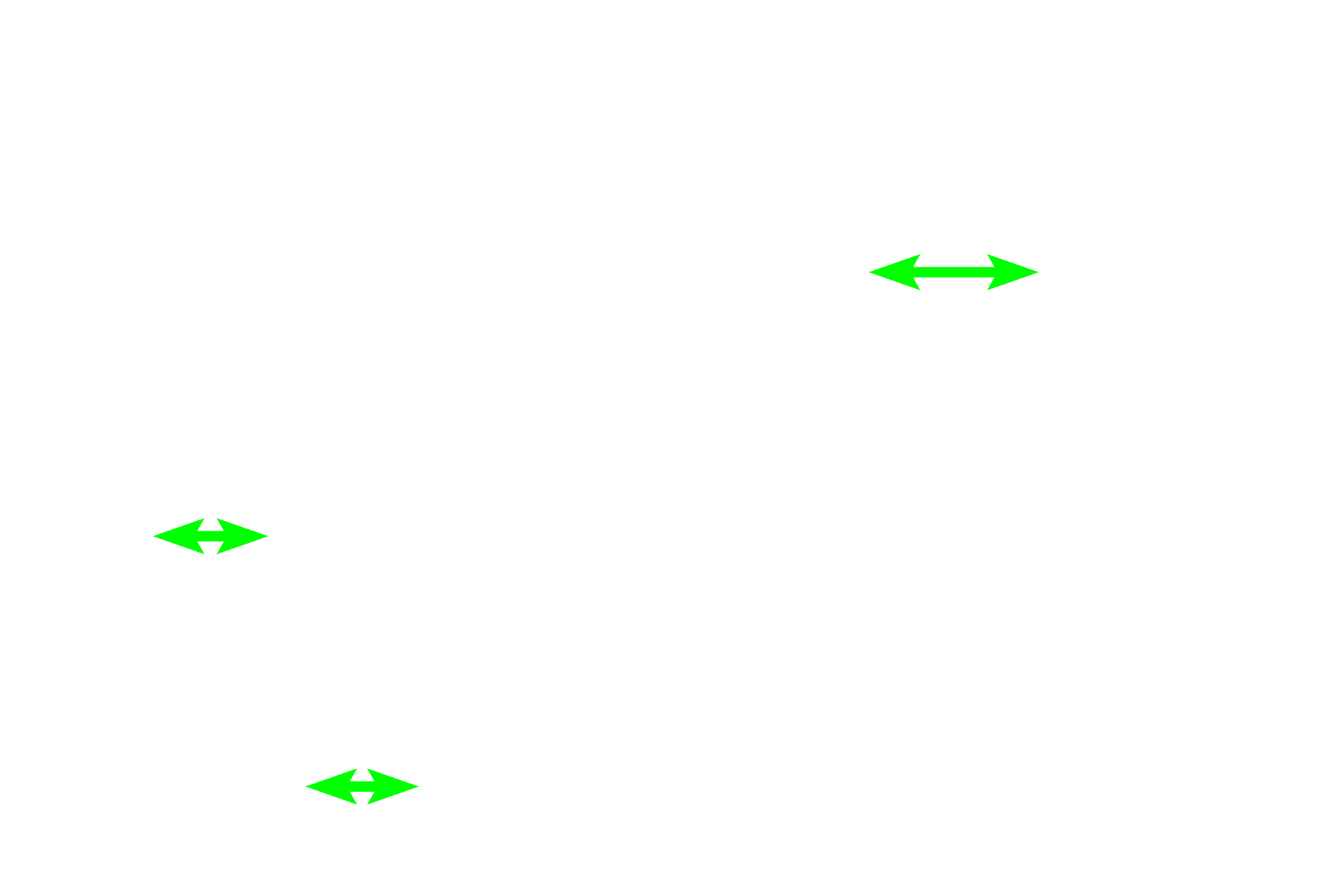 Blood vessels <p>Simple squamous epithelium is seen lining tubules in the kidney (blue arrows) as well as blood vessels (yellow arrows).  In both structures, the nuclei of the epithelium can be seen bulging slightly into the lumen with thins band of cytoplasm extending away from them.</p>
