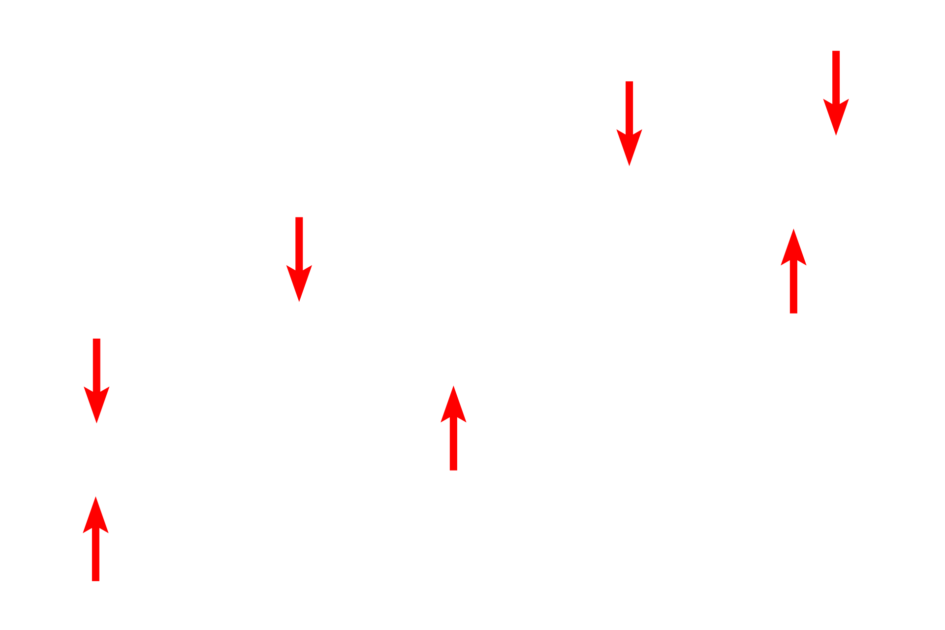 Plasma membrane <p>This electron micrograph shows a squamous cell that forms part of the lining (serosa) of an internal body cavity.  The cell has very little cytoplasm and a highly flattened nucleus, characteristic of a squamous cell.  At its thinnest point, this cell is only 0.5 micron thick.  Serosa  15,000x</p>
