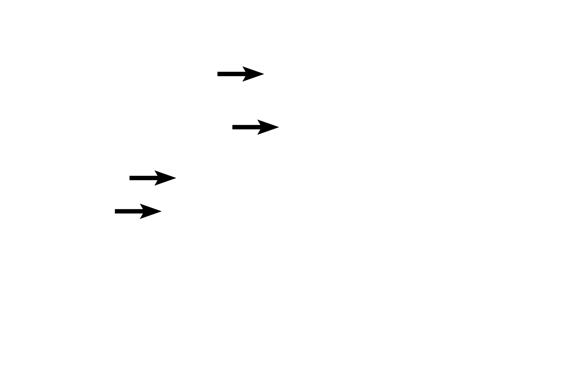  - Brush border <p>In most cases, simple cuboidal epithelia line tubules, multiple examples of which are seen in this image.  The cells in each can vary from nearly cube-shaped to rectangular.  Some cells also have a prominent brush border on their free surfaces which is composed of microvilli.  Due to the plane of section, the nuclei of some cells are not visible.  Kidney  400x</p>
