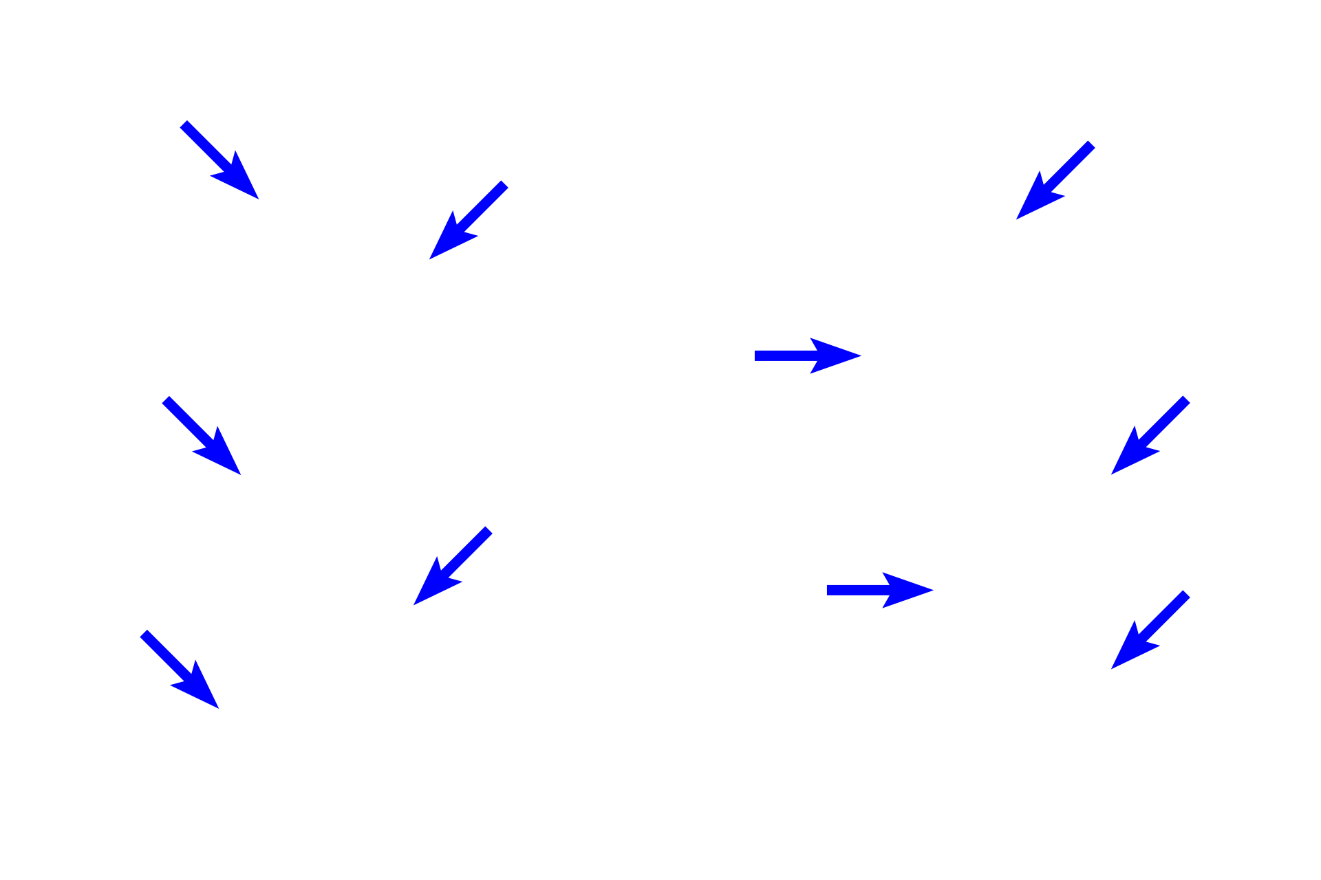 Simple cuboidal epithelium <p>Simple cuboidal epithelia form the walls of ducts, as seen in these longitudinal sections.  Note the spherical nuclei and mostly cube-shaped cells of the epithelium. Kidney, Liver  400x</p>
