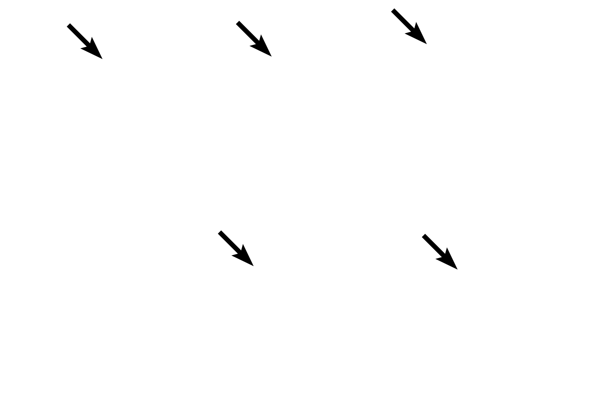 Simple cuboidal epithelium <p>The ovary is covered by a simple cuboidal epithelium, composed of a single row of cube-shaped cells.  The nuclei of cuboidal cells are usually spherical, reflecting the equal height and width dimensions of these cells.  This is one of the few examples of a simple cuboidal epithelium that is not lining a tubular structure.  400x, 1000x</p>
