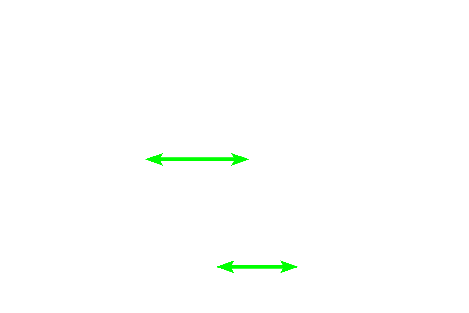 Loose connective tissue <p>Simple columnar epithelium lines the intestine, as seen here in the duodenum.  Also visible is a brush border, composed of closely packed microvilli, which are commonly present on simple columnar epithelia.  Interspersed between the cells are unicellular glands called goblet cells which secrete mucus.  The mucus is released onto the epithelial surface.  Small intestine  300x</p>
