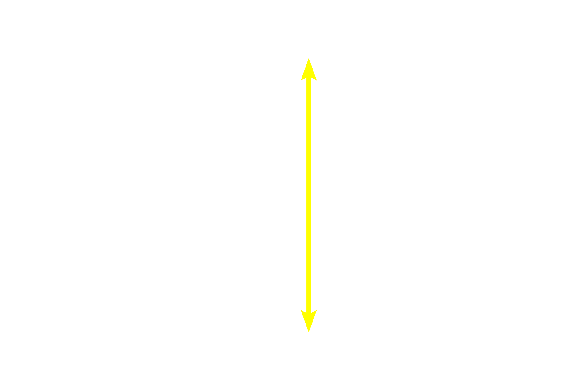 Stratified squamous, nonkeratinized epithelium <p>Stratified epithelia have multiple layers and are further classified by the shape of the cells at the surface.  In stratified squamous epithelia, cells flatten as they are pushed from basal to surface layers.  Surface cells are living, with visible nuclei.  A layer of keratin does not form and the epithelium remains moist.  Esophagus  400x</p>
