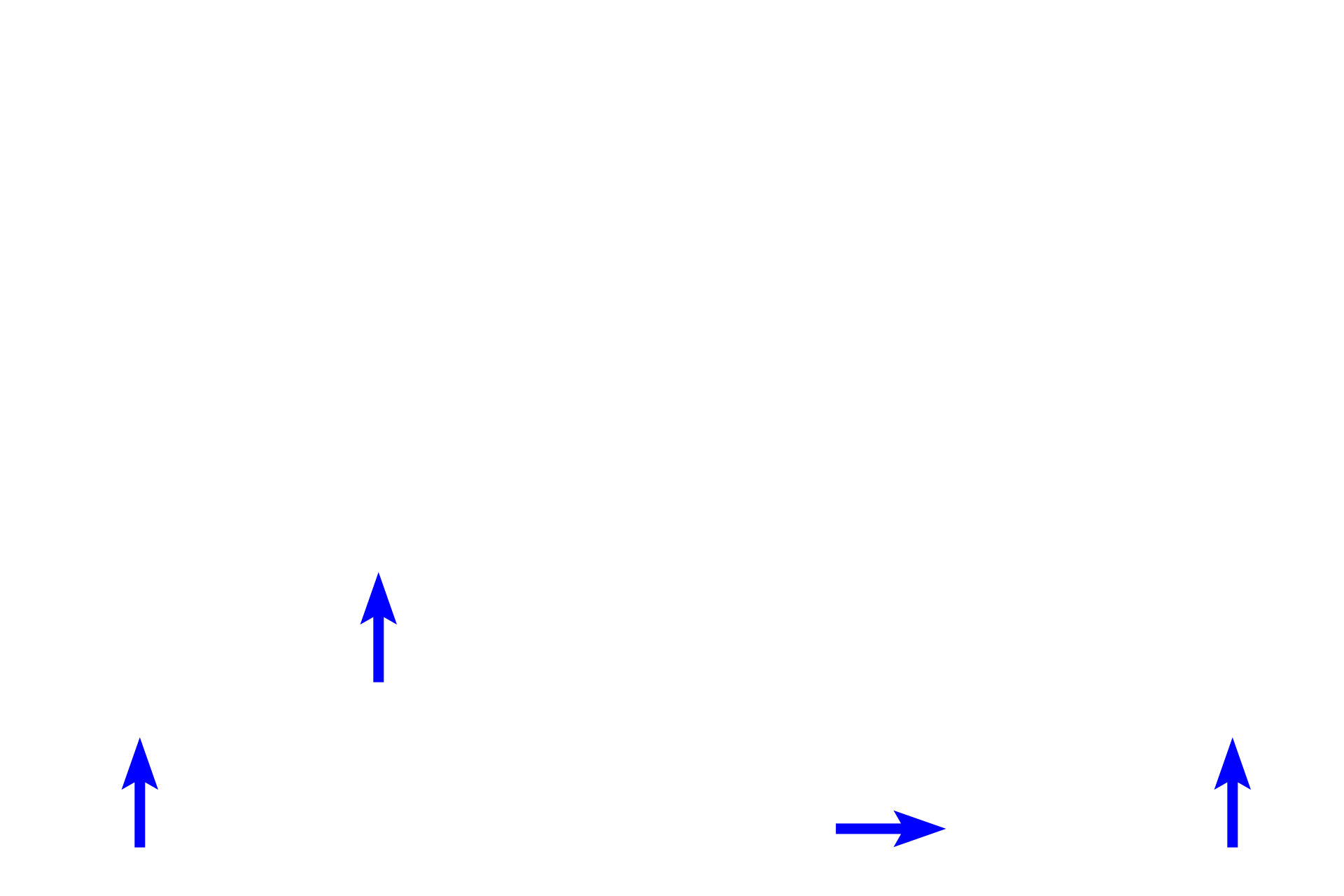 Basement membrane <p>This epithelium covers internal body surfaces which are exposed to some degree of physical trauma or abrasion.  This epithelium has a basal layer of cuboidal cells that are mitotically active.  Above them are several layers of polygonal cells that become progressively more flattened, until they become squamous at the luminal surface.  Vagina  400x</p>
