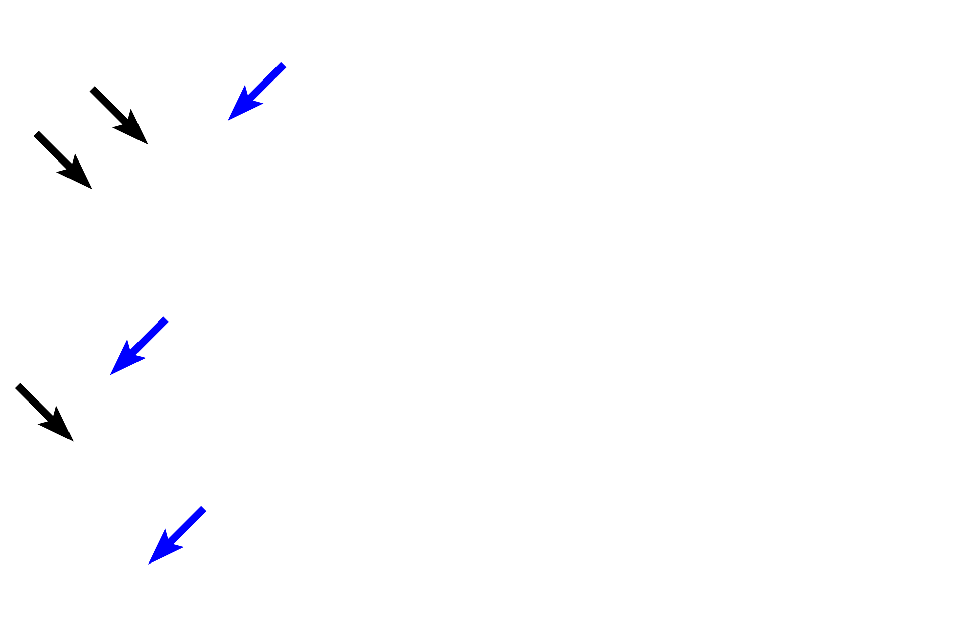  - Squamous cells > <p>In a stratified squamous moist epithelium, cells retain their nuclei, even at the surface (blue arrows). Surface cells are sloughed off into the lumen (black arrows).</p>
