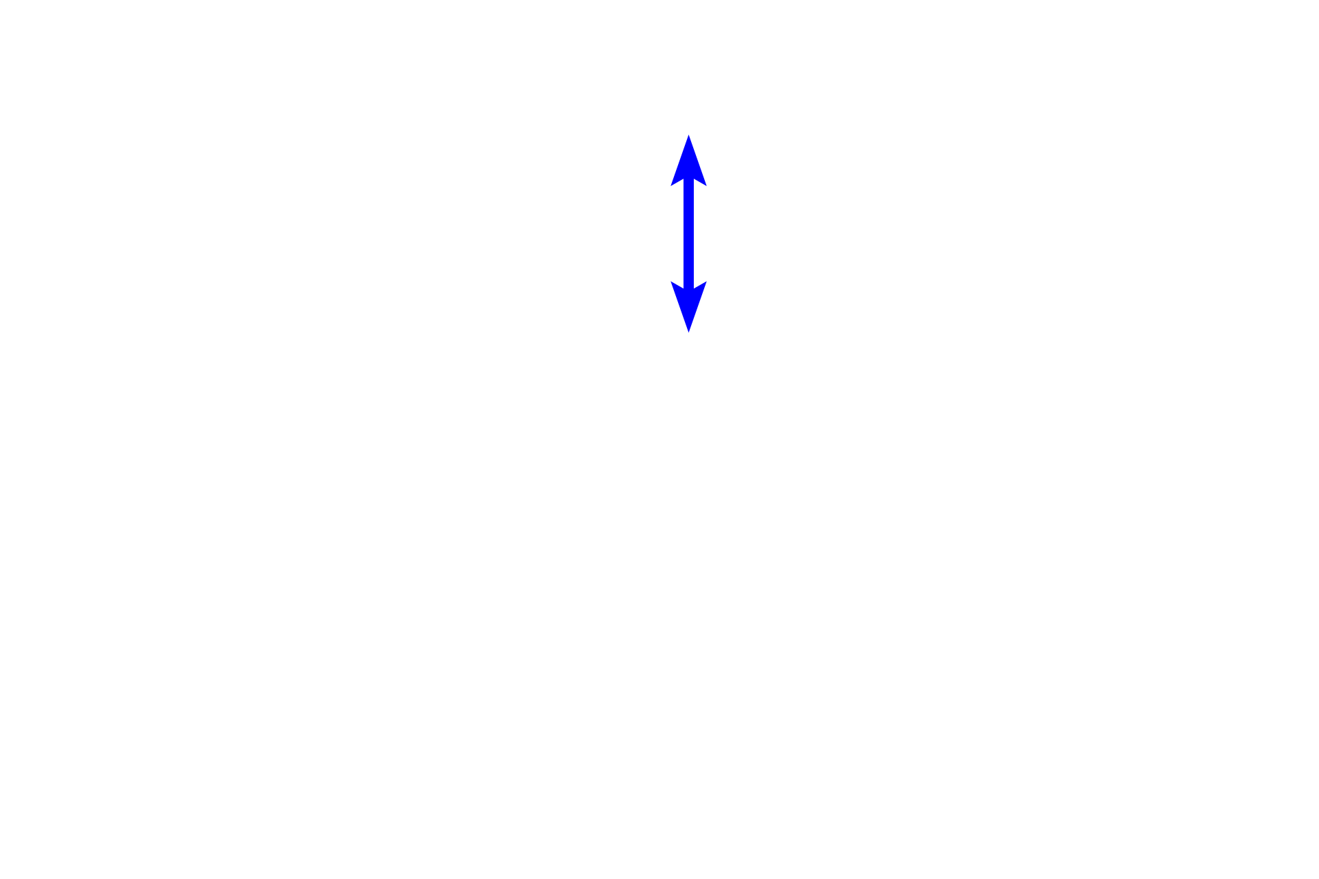  - Dead cells <p>This epithelium forms the outer layer of the skin, which covers the exterior, or dry, surface of the body that is exposed to the external environment.  The basal portion is composed of viable cells, while the outer layers are composed of dead cells made up almost entirely of the protein, keratin.  Keratin provides protection against abrasion.  100x</p>
