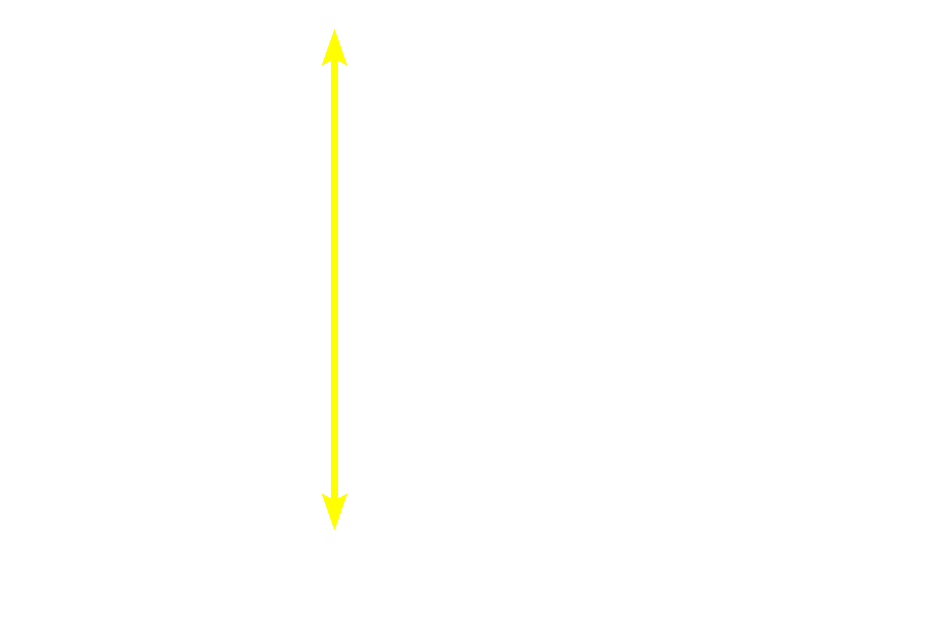 Stratified squamous, keratinized epithelium <p>Stratified squamous, keratinized epithelium forms the outer layer of the skin, an area of the body that is subjected to a great deal of abrasion.  Therefore, its outer protective layer, composed of dead cells containing keratin, is quite thick.  400x</p>
