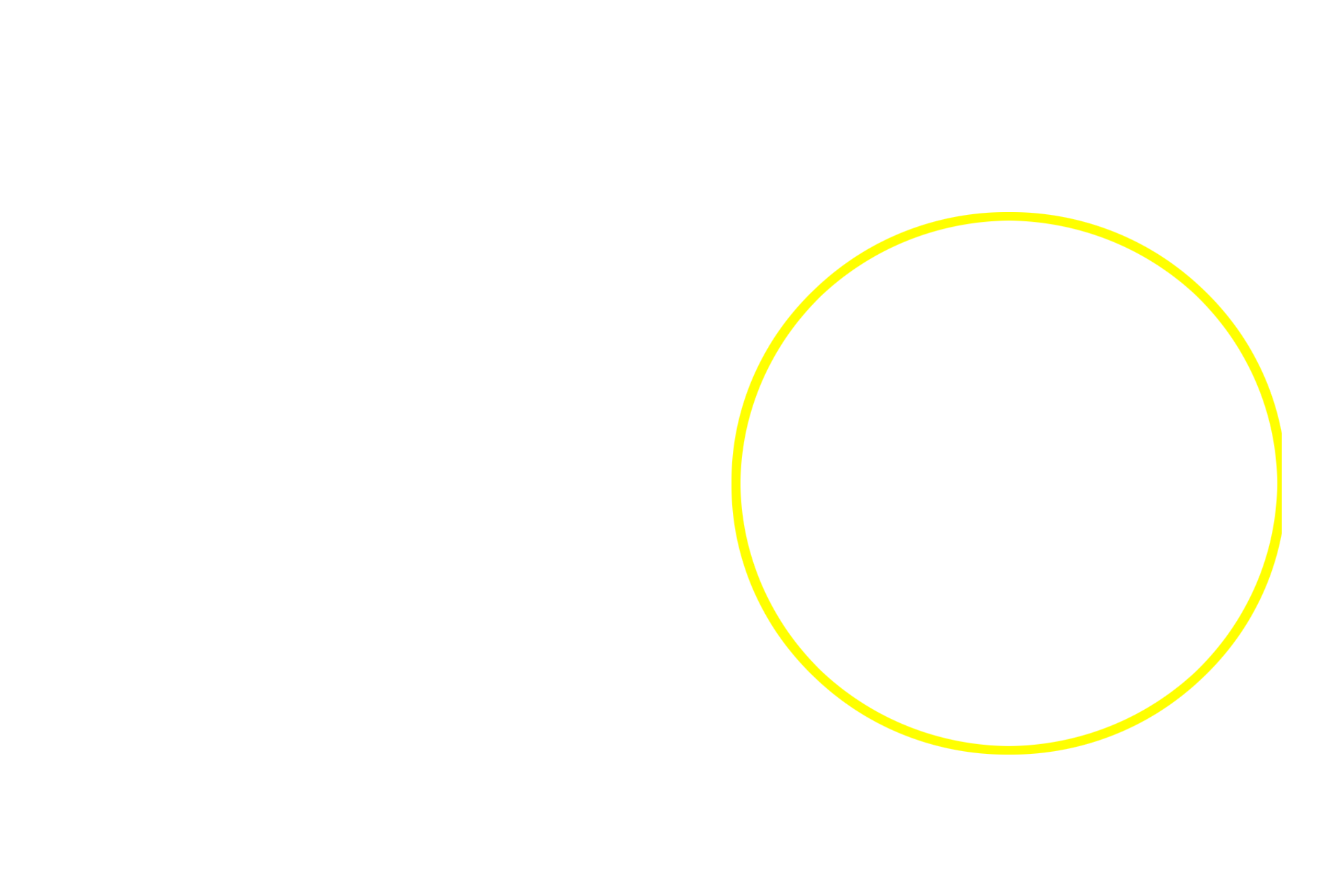 Secretory portion of the sweat gland <p>Stratified cuboidal epithelium has a limited distribution but is prominent in ducts of exocrine glands.  This image shows a section through a sweat gland and its duct.  Both are lined by a stratified cuboidal epithelium.  1000x</p>

