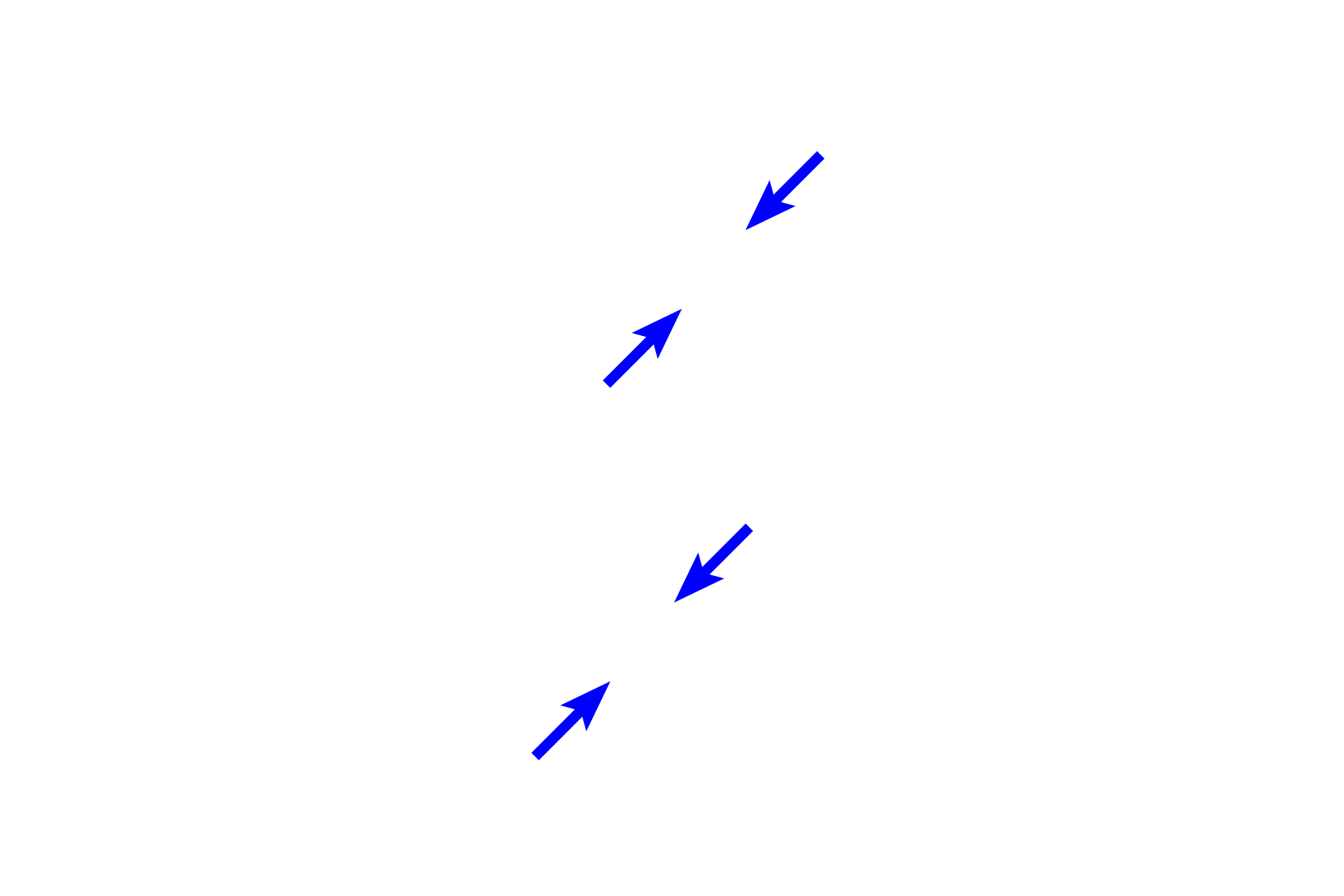 Stratified columnar epithelium <p>Stratified columnar epithelium is relatively rare, occurring mainly where a simple epithelium transitions to a thicker stratified epithelium.  Such transitions occur in the ducts of larger glands.  The cells of the basal layer are cuboidal, while the cells at the surface are columnar, thus the name stratified columnar. Duct of a salivary gland  400x</p>
