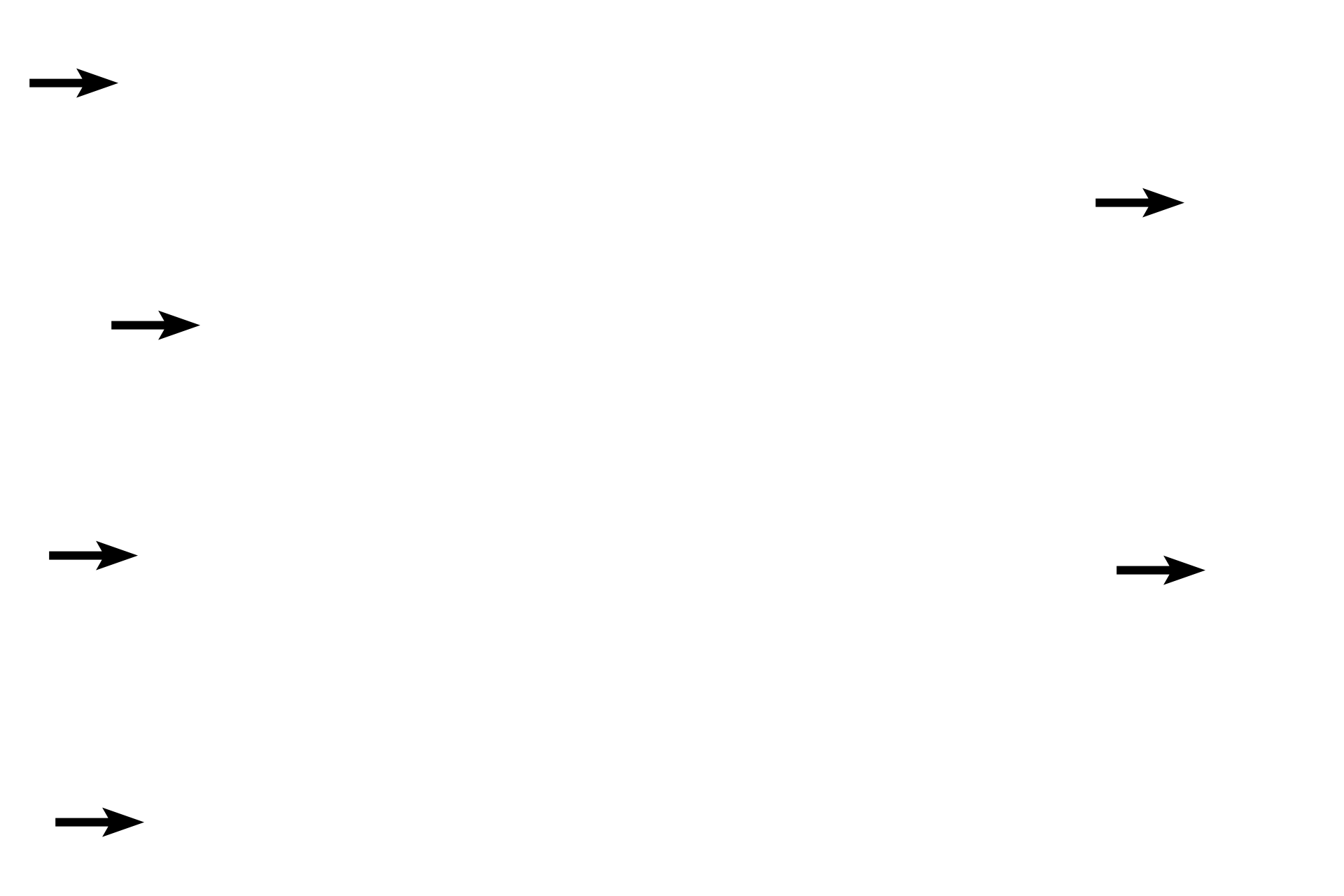 Endocardium <p>A micrograph and an illustration demonstrate the three layers of the heart; the rectangle on the illustration indicates the region shown in the micrograph.  The endocardium, the innermost lining of the heart, contacts the blood.  The myocardium is the middle, muscular layer of the heart.  The outermost layer of the heart is a serous membrane, the epicardium (visceral pericardium).  10x</p>
