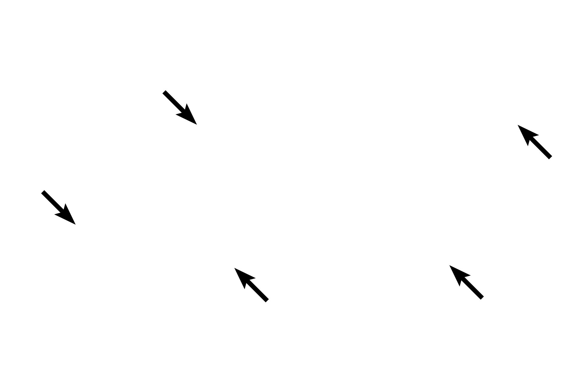 Endothelium <p>The leaflets of atrioventricular valves are folds of endocardium covered with endothelium on their free surfaces.  The core of each leaflet consists of dense irregular connective tissue that is continuous with the annulus fibrosis. Also seen is the attachment point for one of the chordae tendineae, fibrous cords which extend from the valve leaflet to one of the papillary muscles.   400x</p>
