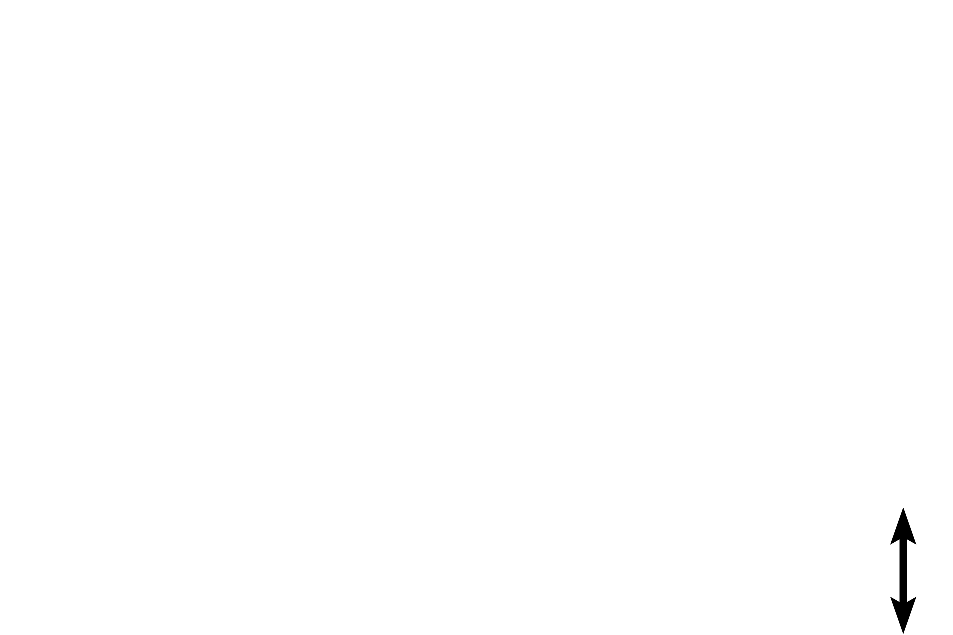 Tunica adventitia <p>The tunica intima is composed of an endothelium, a subendothelial connective tissue and a prominent internal elastic lamina. The tunica media, composed mostly of smooth muscle, is the thickest layer and extends up to the multilayered external elastic lamina. The tunica adventitia begins at the external elastic lamina and is composed of irregular dense connective tissue. 400x</p>
