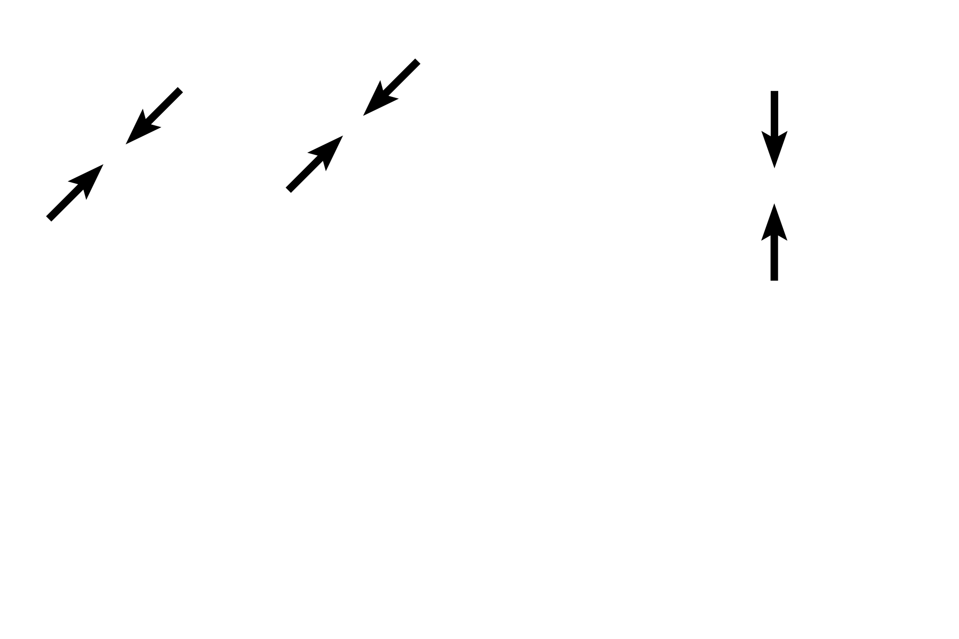 Tunica intima <p>These two images show the details of the tunica intima. This thin layer is composed of an endothelium, a loose subendothelial connective tissue and the wavy, internal elastic lamina. The internal elastic lamina is very prominent in medium, muscular arteries and aids in identifying these vessels. 1000x</p>

