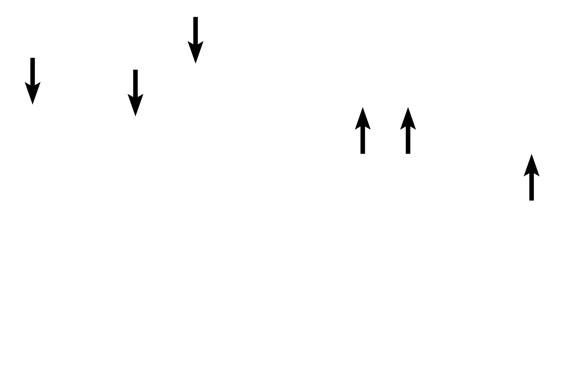  - Internal elastic lamina <p>These two images show the details of the tunica intima. This thin layer is composed of an endothelium, a loose subendothelial connective tissue and the wavy, internal elastic lamina. The internal elastic lamina is very prominent in medium, muscular arteries and aids in identifying these vessels. 1000x</p>
