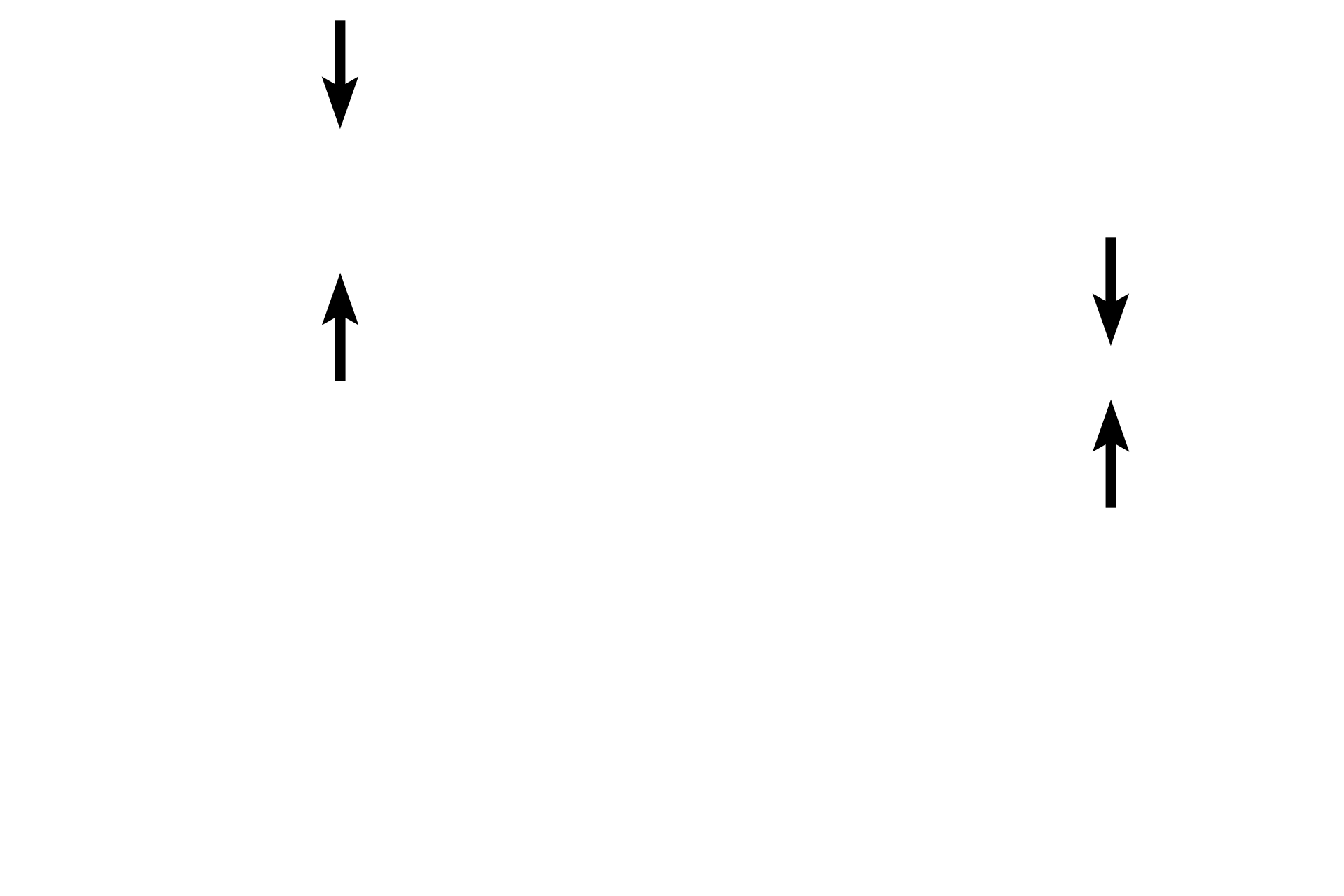 Tunica media <p>Small arteries have three to eight layers of smooth muscle in the tunica media and an internal elastic lamina is generally present. The smallest arteries, like the one shown on the right, lead into arterioles, which are the main regulators of blood pressure. 700x, 1000x</p>
