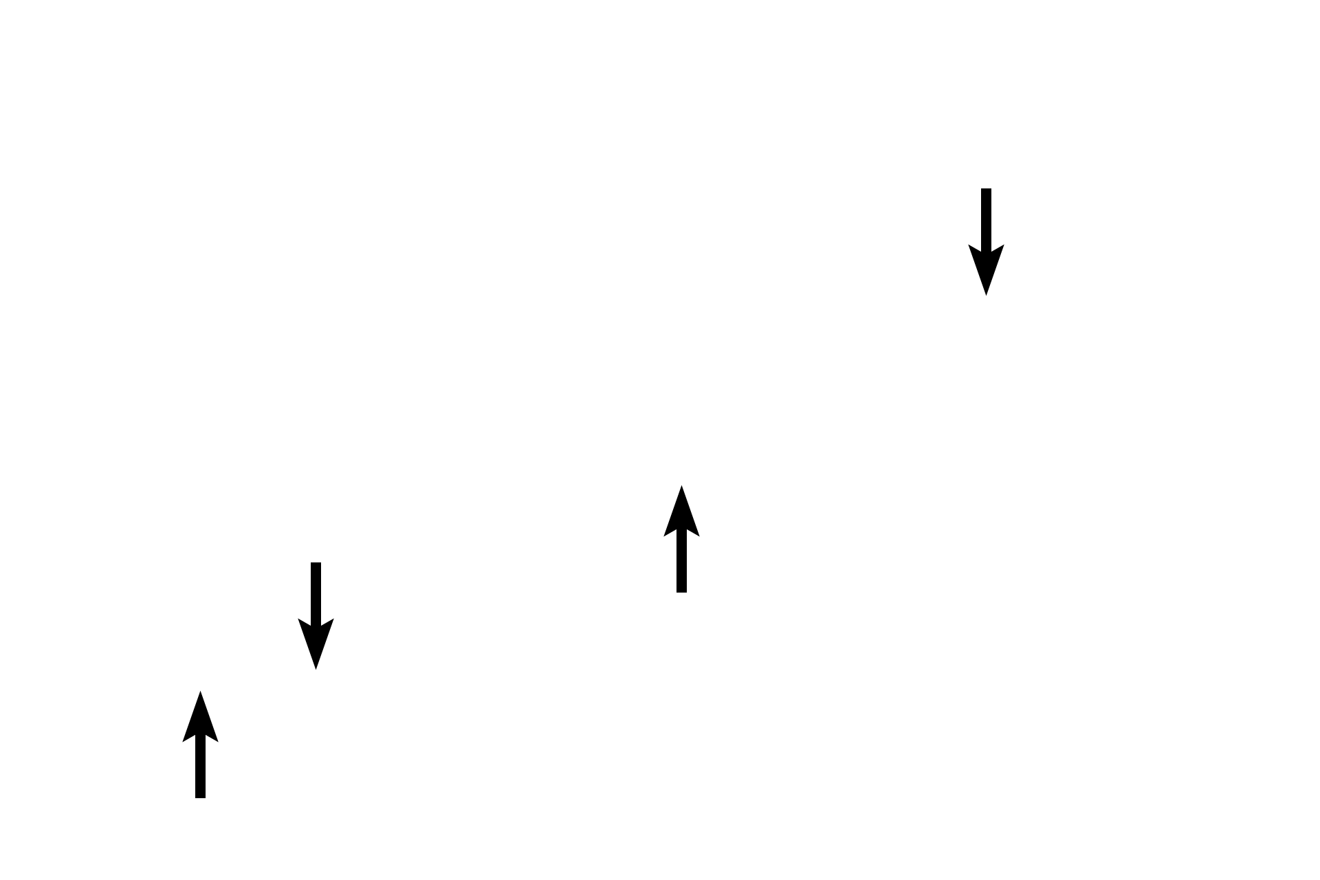 Endothelium of tunica intima <p>This arteriole was cut in longitudinal section and, hence, the single layer of circularly arranged, smooth muscle fibers in tunica media are cut in cross section. The tunica intima consists of a simple squamous epithelium, which is particularly evident in this orientation. The connective tissue of tunica adventitia blends with the surrounding connective tissue. 1000x</p>
