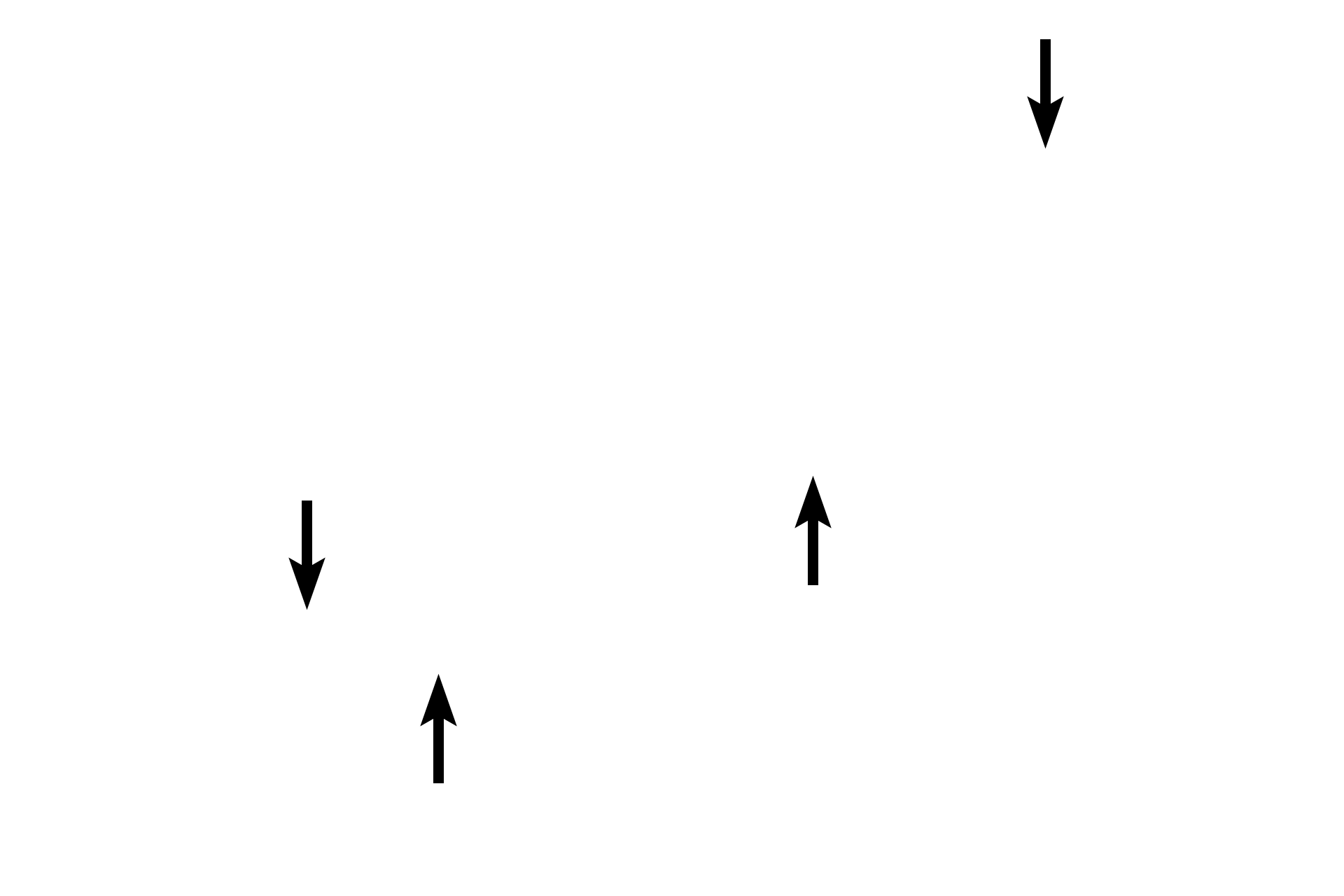 Smooth muscle cells of tunica media <p>This arteriole was cut in longitudinal section and, hence, the single layer of circularly arranged, smooth muscle fibers in tunica media are cut in cross section. The tunica intima consists of a simple squamous epithelium, which is particularly evident in this orientation. The connective tissue of tunica adventitia blends with the surrounding connective tissue. 1000x</p>
