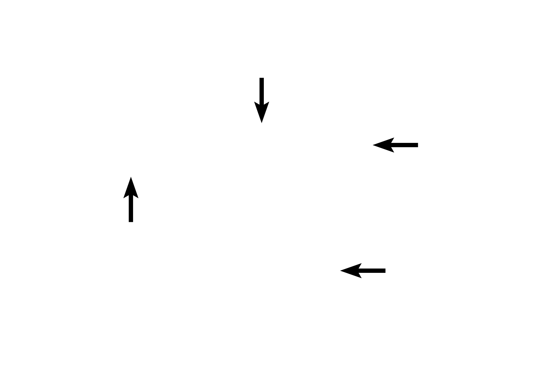 Tunica adventitia <p>An arteriole consists of a tunica intima, a thin tunica media of one to two layers of smooth muscle cells and a tunica adventitia. The wall of the adjacent venule is thinner and less regular, consisting only of an endothelium, forming the tunica intima. A tunica media is absent and the thin tunica adventitia is indistinguishable from the surrounding connective tissue. 1000x</p>
