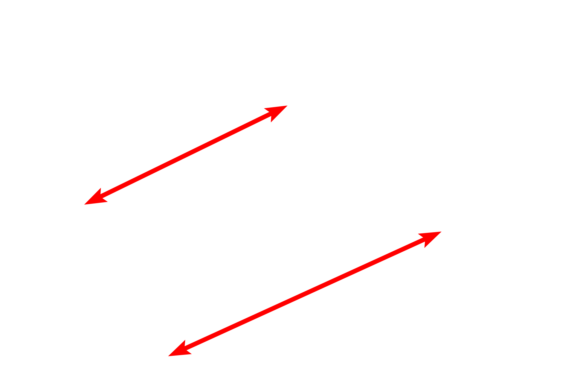 Tunica media <p>This electron micrograph shows a portion of the wall of an arteriole with two layers of smooth muscle cells. Some of the space between the smooth muscle cells is due to artifactual shrinkage during fixation. The endothelial cells lie immediately above the internal elastic lamina and a portion of the tunica adventitia with fibroblast processes is visible in the lower left. 10,000x</p>
