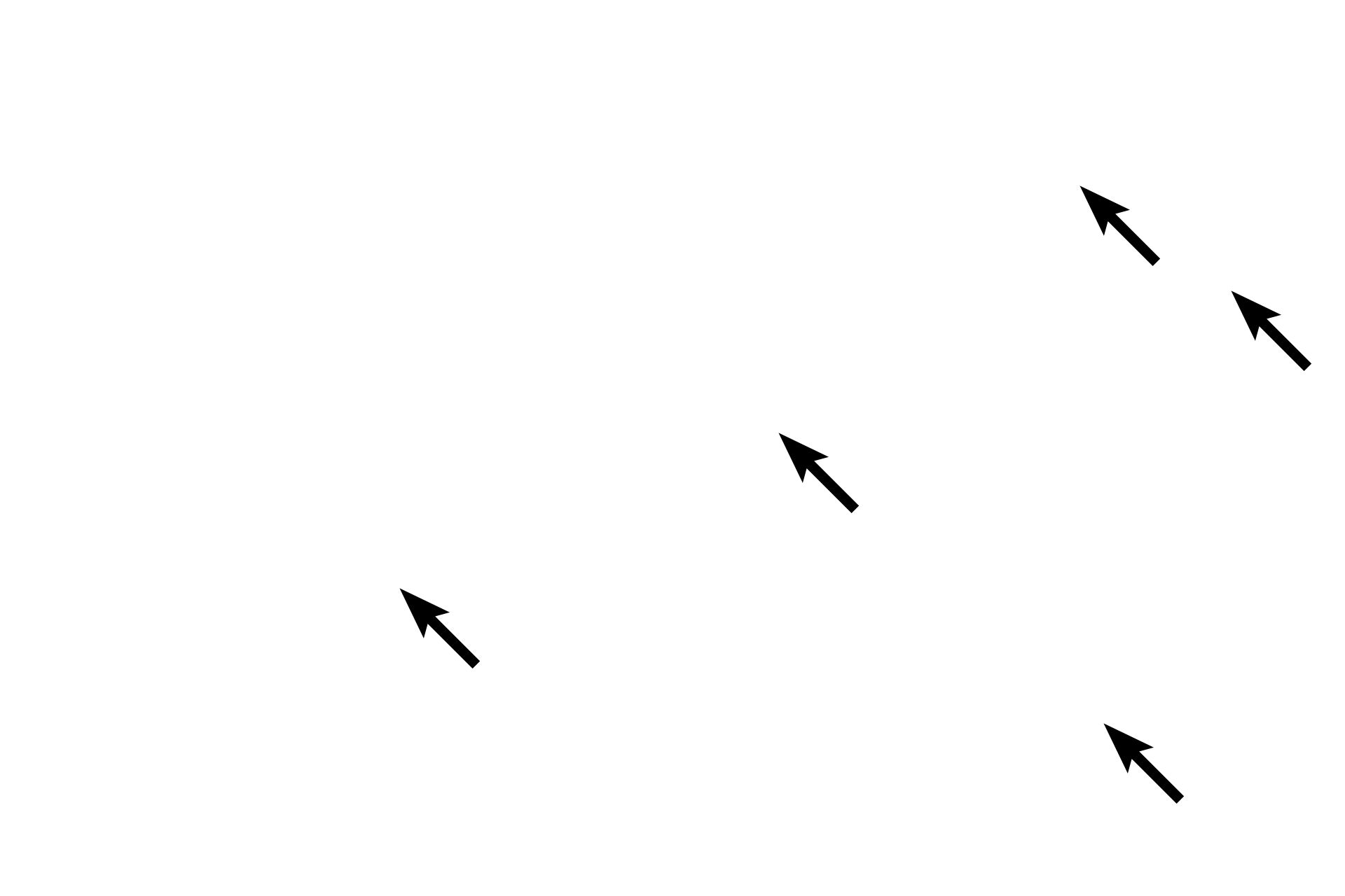 Smooth muscle cells <p>At high magnification, the endothelium and underlying connective tissue of the tunica intima are visible in an elastic artery. A few smooth muscle fibers may be present in the tunica intima. The internal elastic lamina is difficult to distinguish from the elastic lamellae in the tunica media. 100x, 1000x</p>
