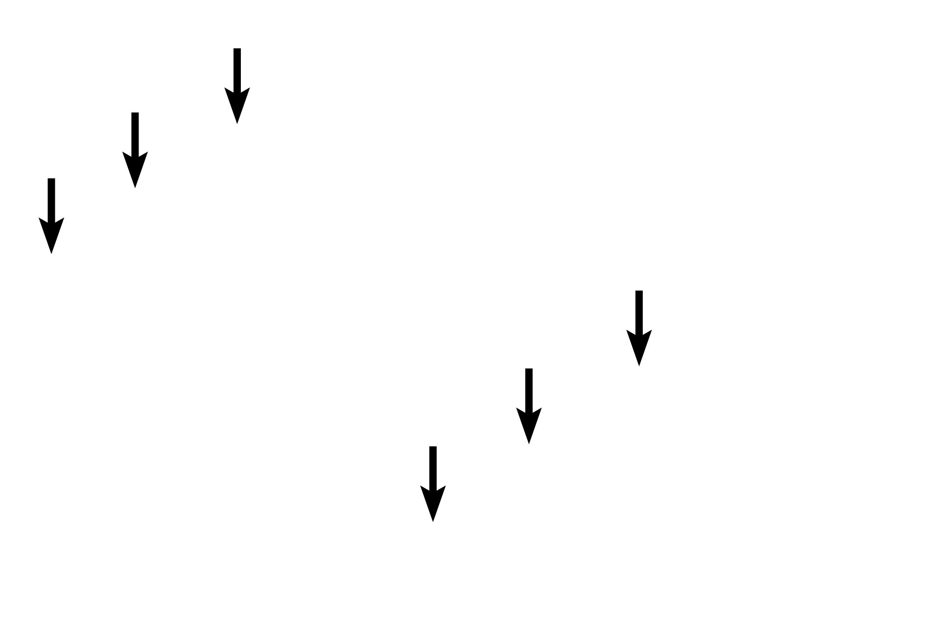 Smooth muscle cells <p>At higher magnification, the tunica media of an elastic artery demonstrates the wavy, elastic lamellae alternating with smooth muscle cells. These elastic lamellae absorb the pressure generated by the contraction of the ventricles of the heart. The pressure produced by the recoil of the lamellae facilitates the uniform movement of the blood through the arterial system. 1200x</p>
