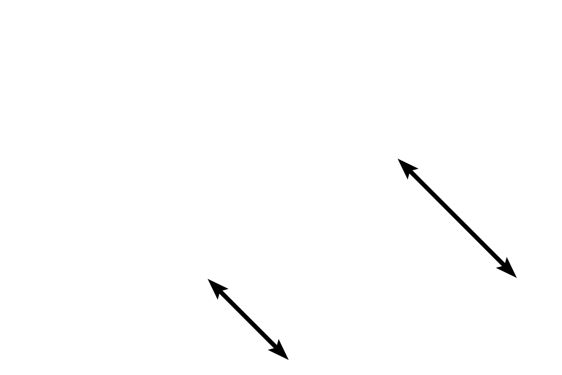 Tunica adventitia <p>The tunica adventitia is composed of connective tissue that is relatively thin and disorganized. In this preparation, the connective tissue of the tunica adventitia appears artifactually dispersed as a result of removing the organ for histological preparation. Numerous small arteries and veins are present in this layer which supply the thick tunica adventitia. These vessels are are collectively referred to as the vasa vasorum. Also present are lymphatic vessels and nerves. 40x</p>
