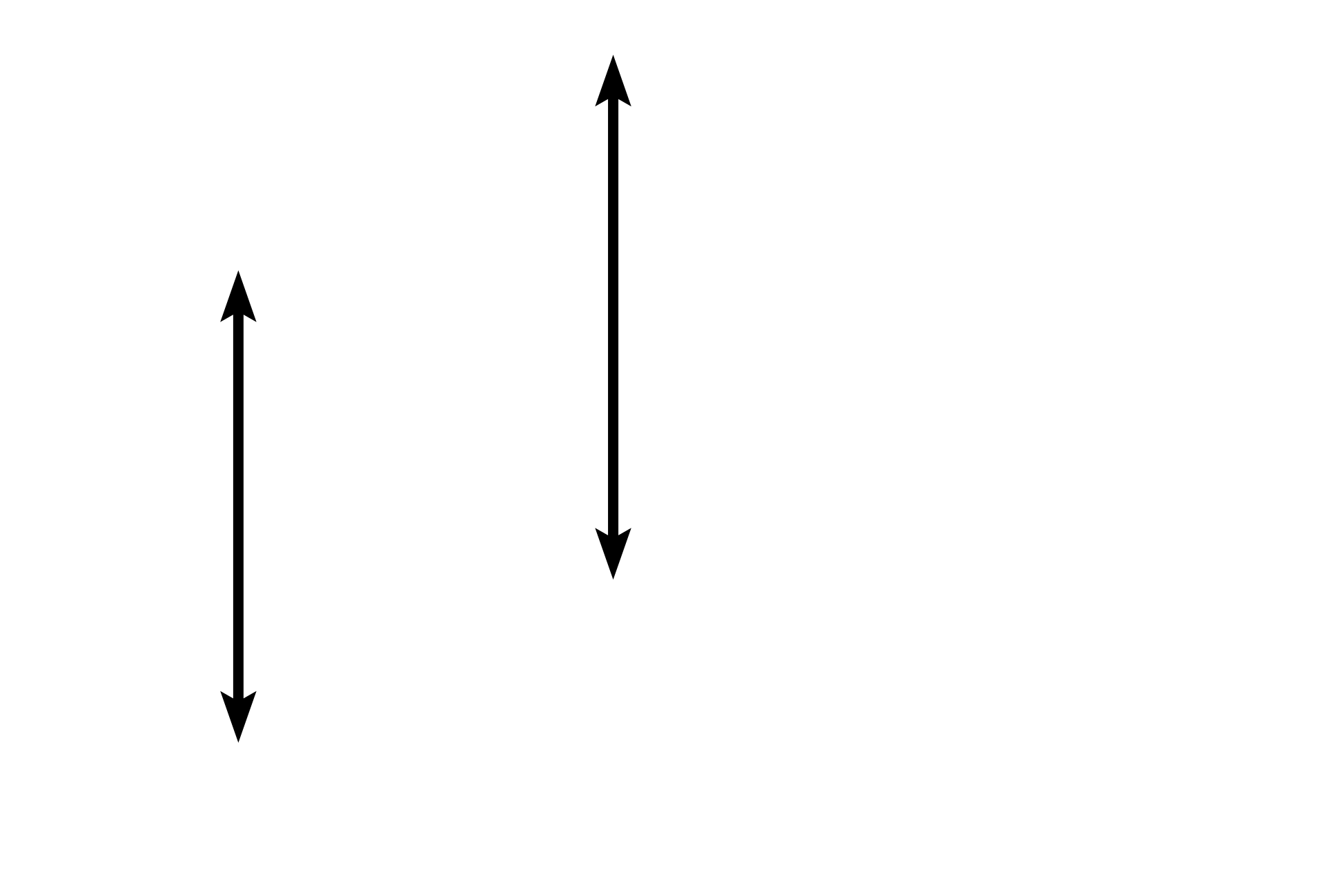 Tunica media <p>The tunica adventitia is composed of connective tissue that is relatively thin and disorganized. In this preparation, the connective tissue of the tunica adventitia appears artifactually dispersed as a result of removing the organ for histological preparation. Numerous small arteries and veins are present in this layer which supply the thick tunica adventitia. These vessels are are collectively referred to as the vasa vasorum. Also present are lymphatic vessels and nerves. 40x</p>
